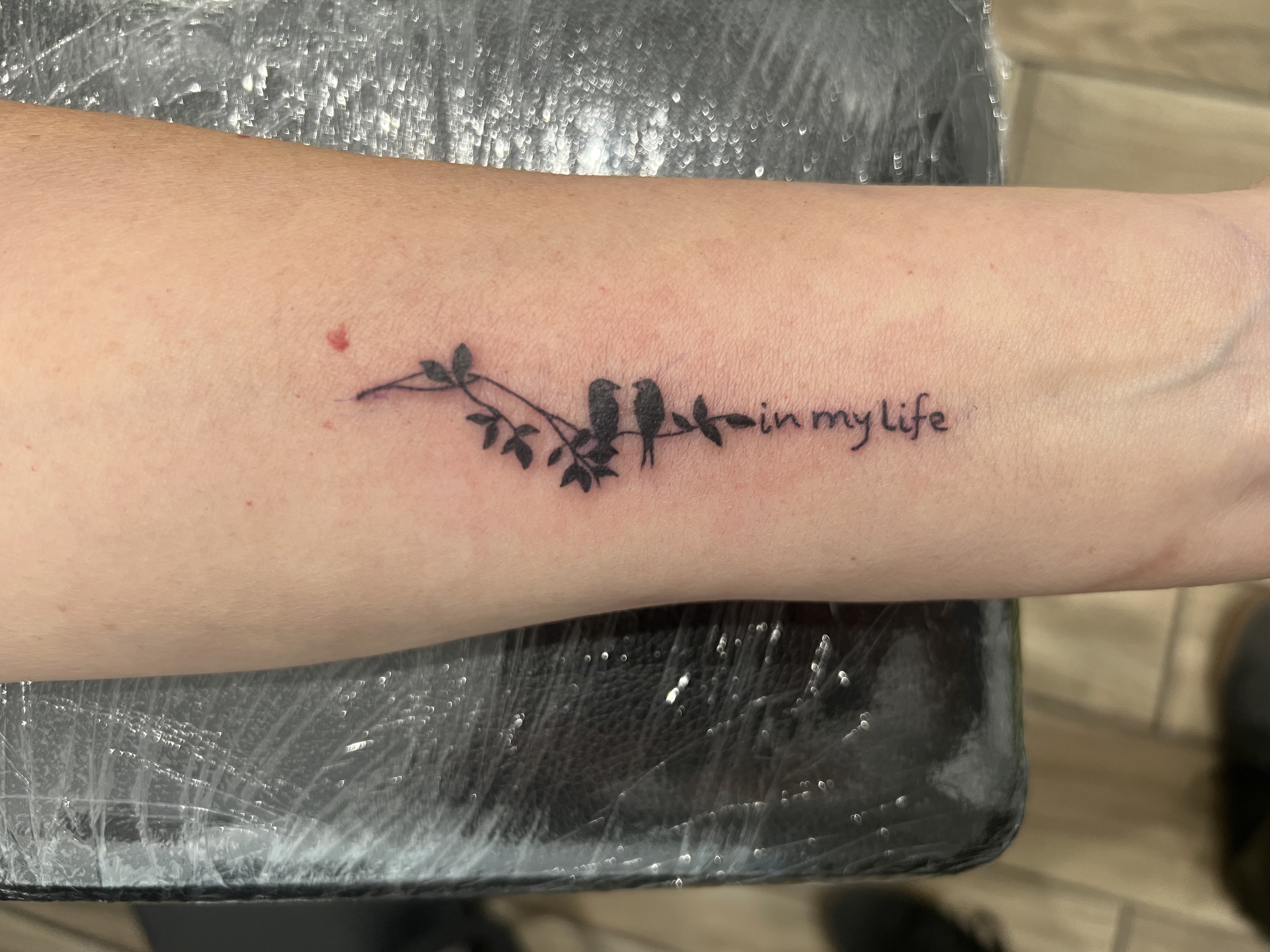 Linework tattoo on the forearm by Jesus at Platinum Tattoos & Piercings, San Antonio TX