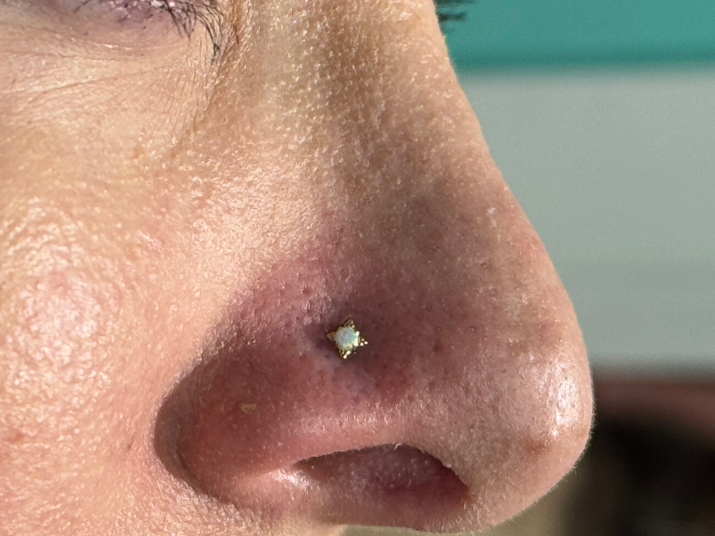 Piercing by Mingo at Platinum Tattoos & Piercings, San Antonio TX