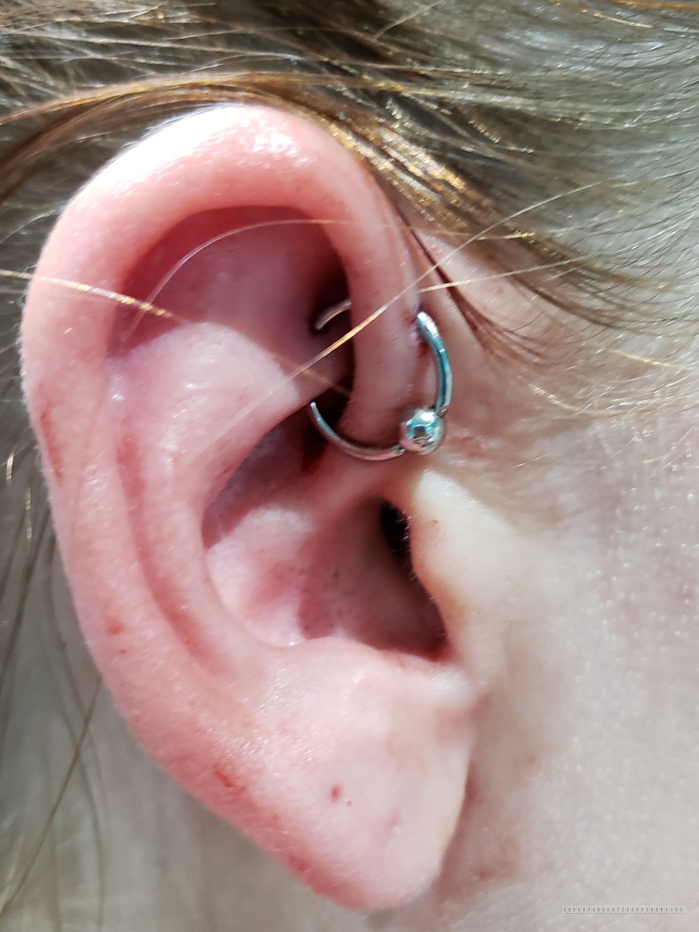 Piercing by Mingo at Platinum Tattoos & Piercings, San Antonio TX