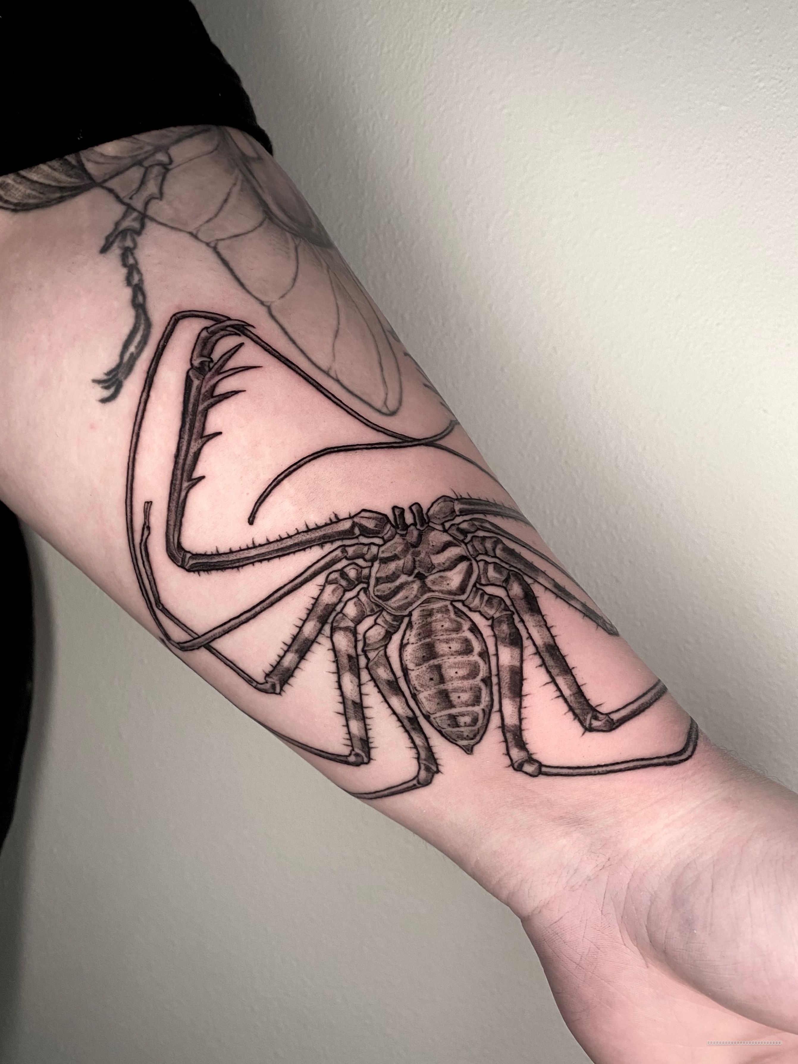 Blackwork tattoo by Remy at Platinum Tattoos & Piercings, San Antonio TX