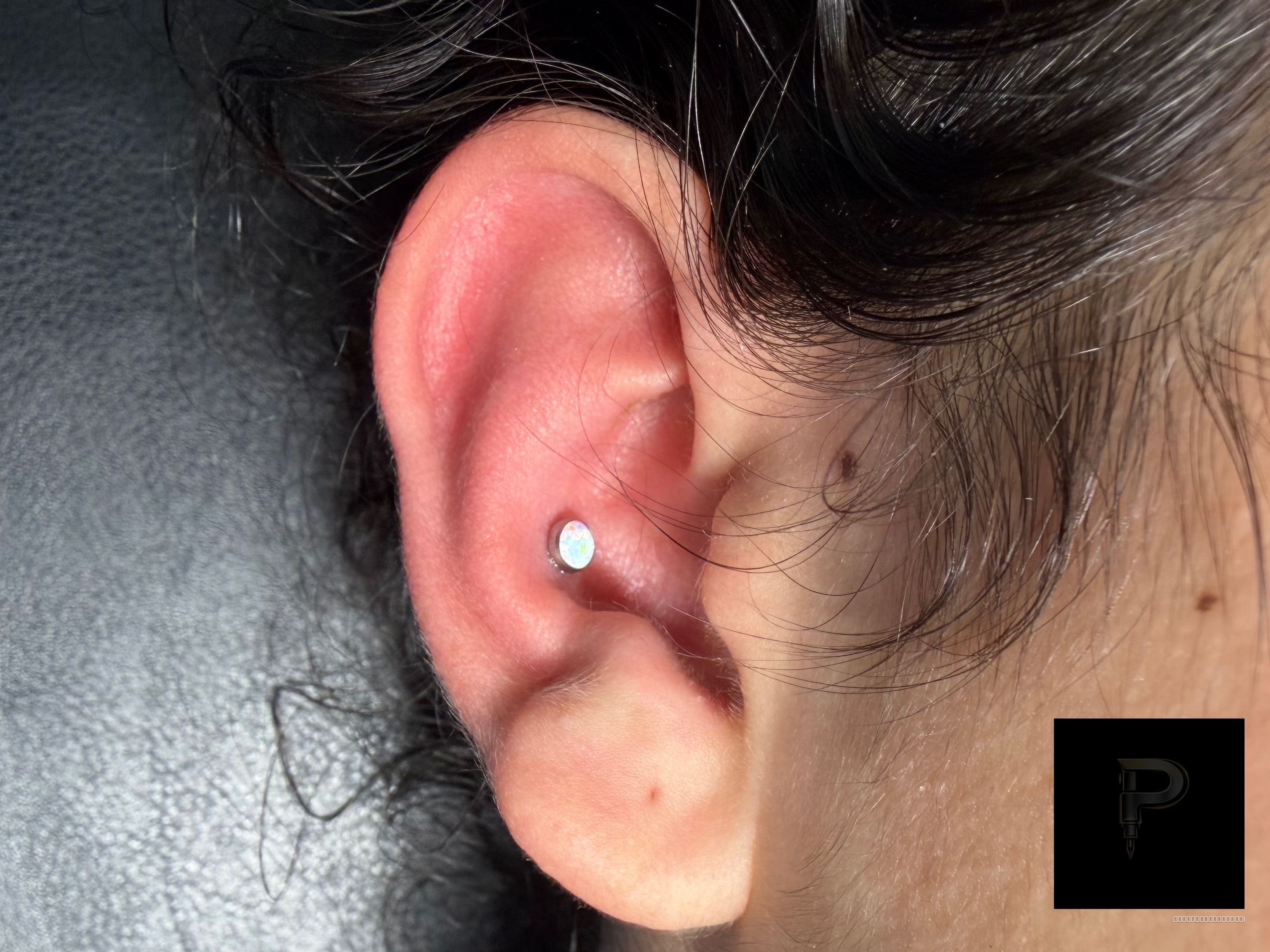 Conch piercing with Implant Grade Titanium Threadless by NeoMetal by Mingo at Platinum Tattoos & Piercings, San Antonio TX