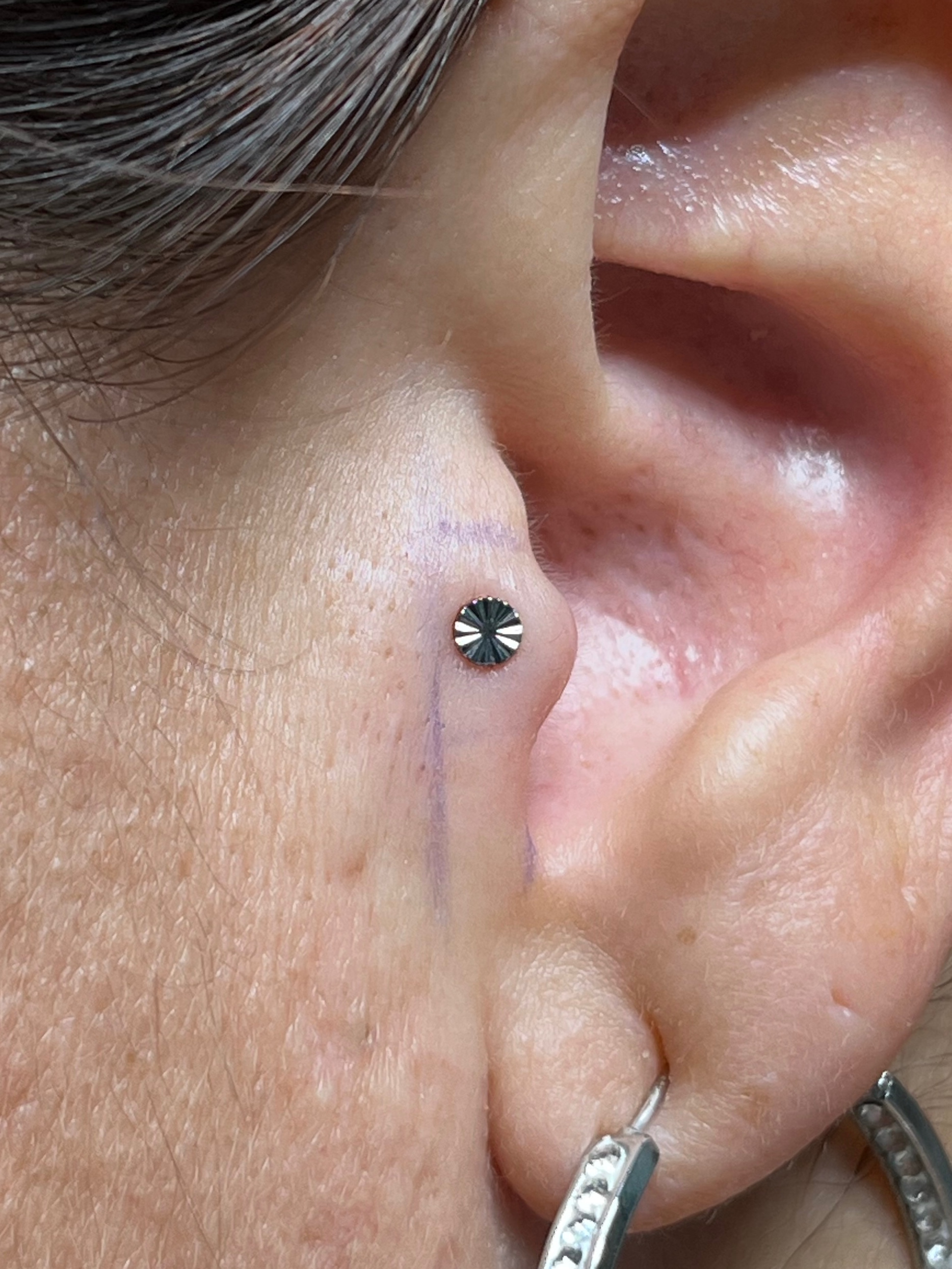 Tragus piercing with Implant Grade Titanium Disc by NeoMetal by Harley at Platinum Tattoos & Piercings, San Antonio TX
