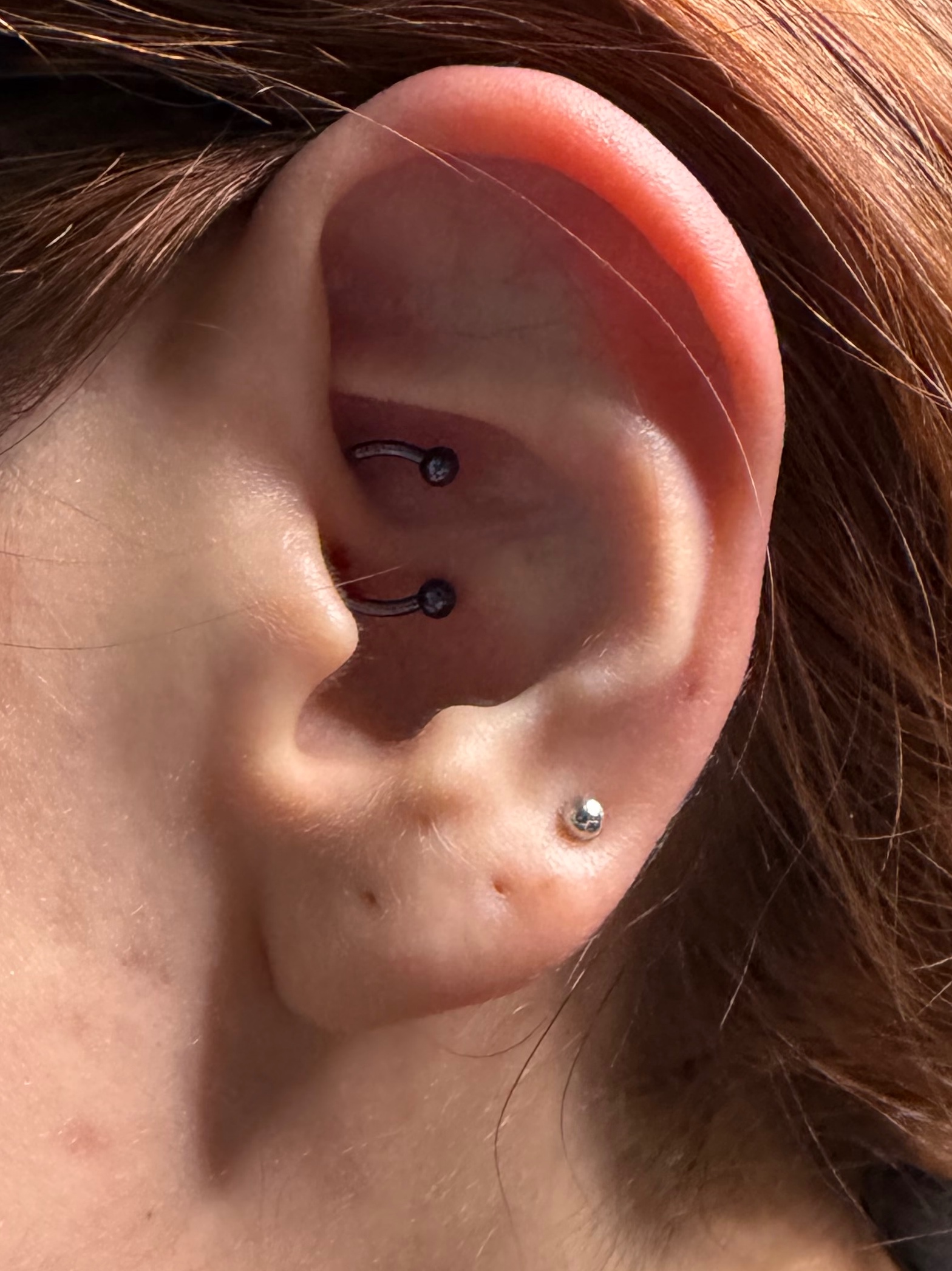 Daith piercing with Implant Grade Titanium Circular Barbell by Other by Mingo at Platinum Tattoos & Piercings, San Antonio TX