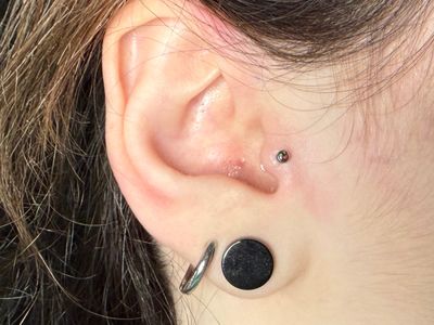 Tragus piercing with Implant Grade Titanium Threadless by NeoMetal by Mingo at Platinum Tattoos & Piercings, San Antonio TX