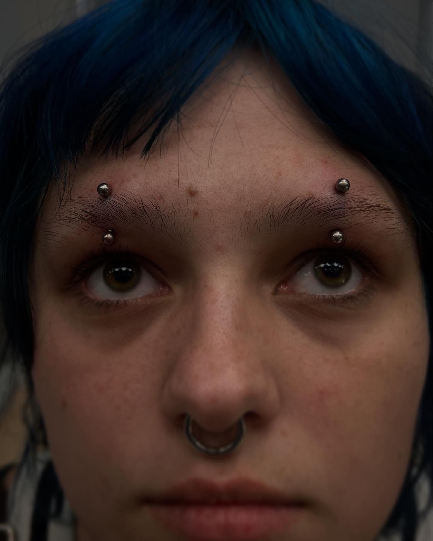 body piercing with Implant Grade Titanium Curved Barbell by Anatometal by JC at Platinum Tattoos & Piercings, San Antonio TX