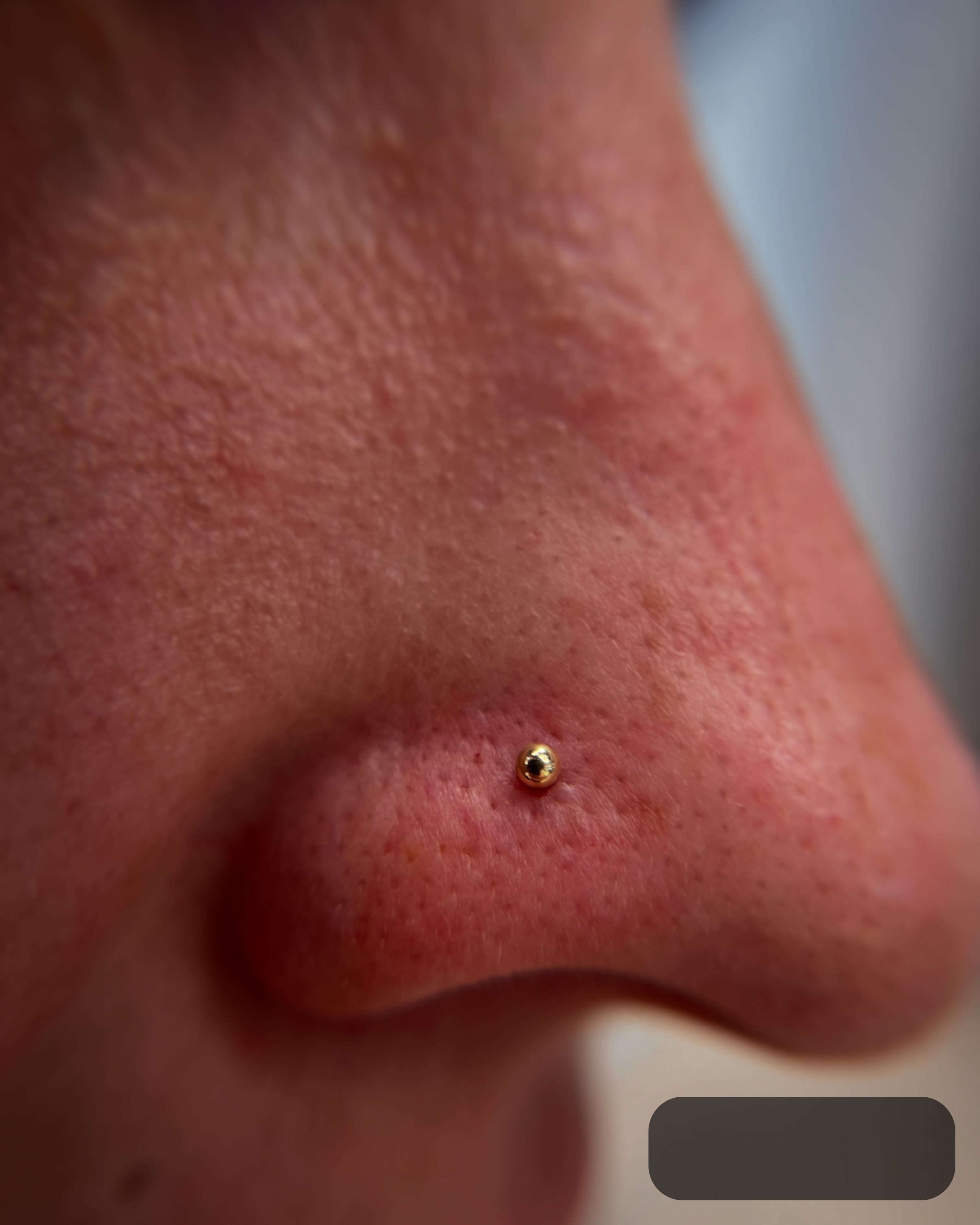 Nostril piercing with 18k Yellow Gold Threadless by NeoMetal by JC at Platinum Tattoos & Piercings, San Antonio TX