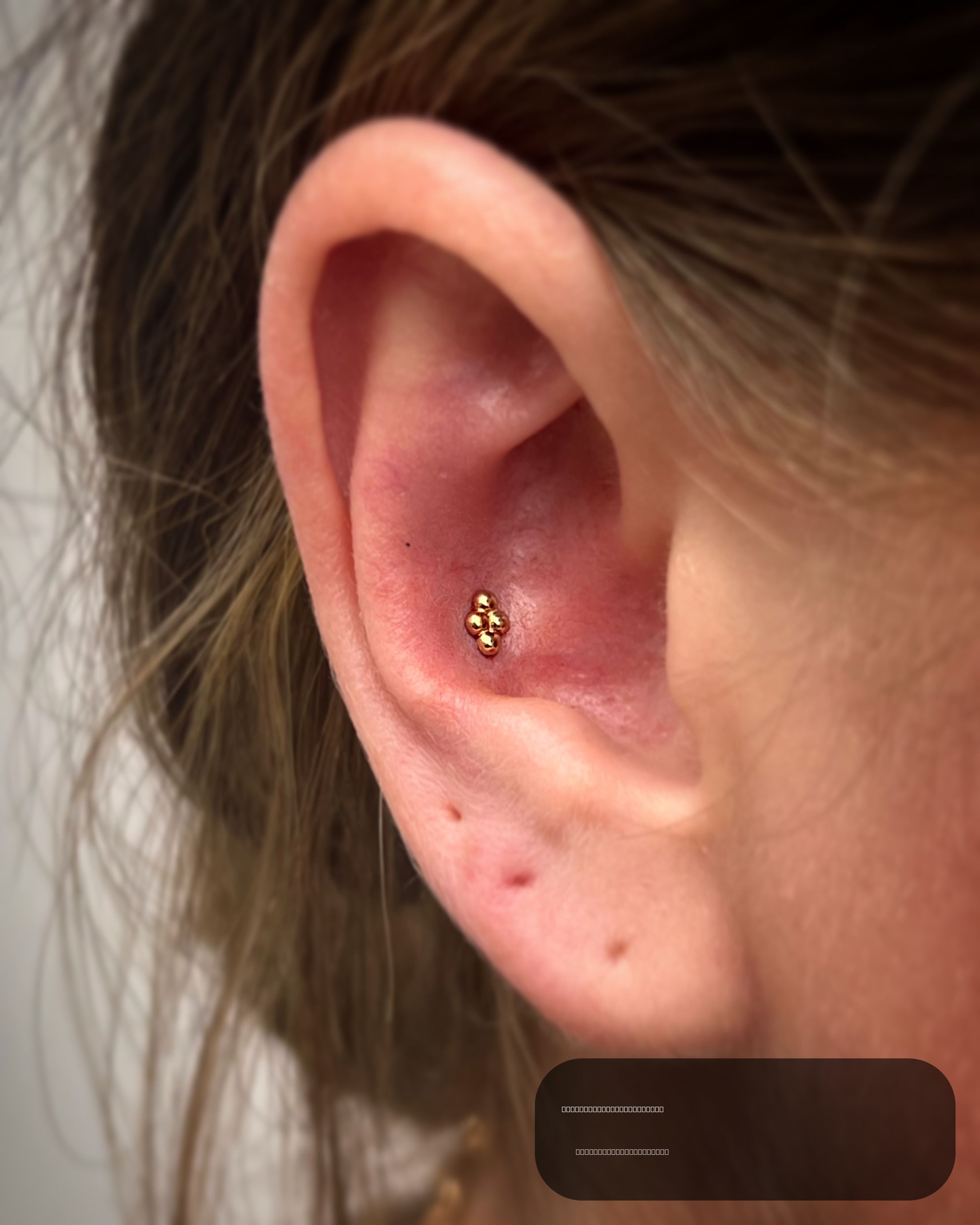 Conch piercing with 18k Yellow Gold Threadless by NeoMetal by JC at Platinum Tattoos & Piercings, San Antonio TX