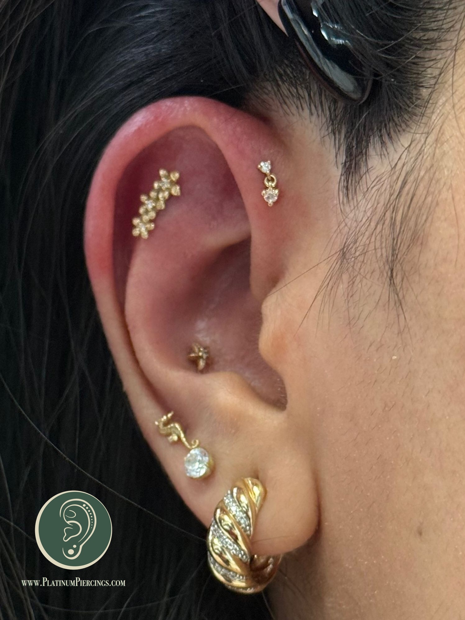 1st Forward Helix piercing with 18k Yellow Gold Threadless by Modern Mood by Crystal at Platinum Body Piercings, San Antonio TX