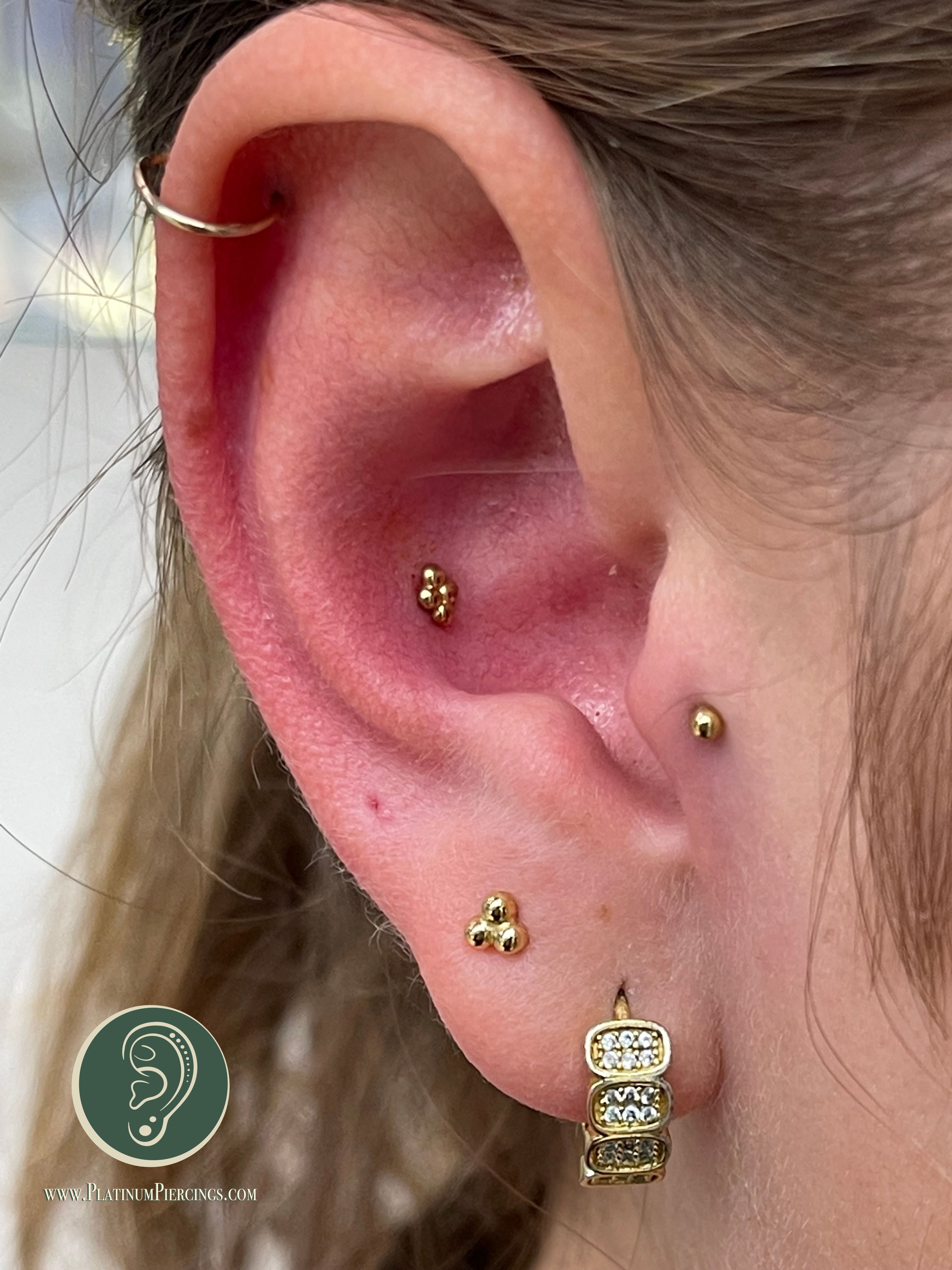 Conch piercing with 14k Yellow Gold Threadless by NeoMetal by Crystal at Platinum Body Piercings, San Antonio TX