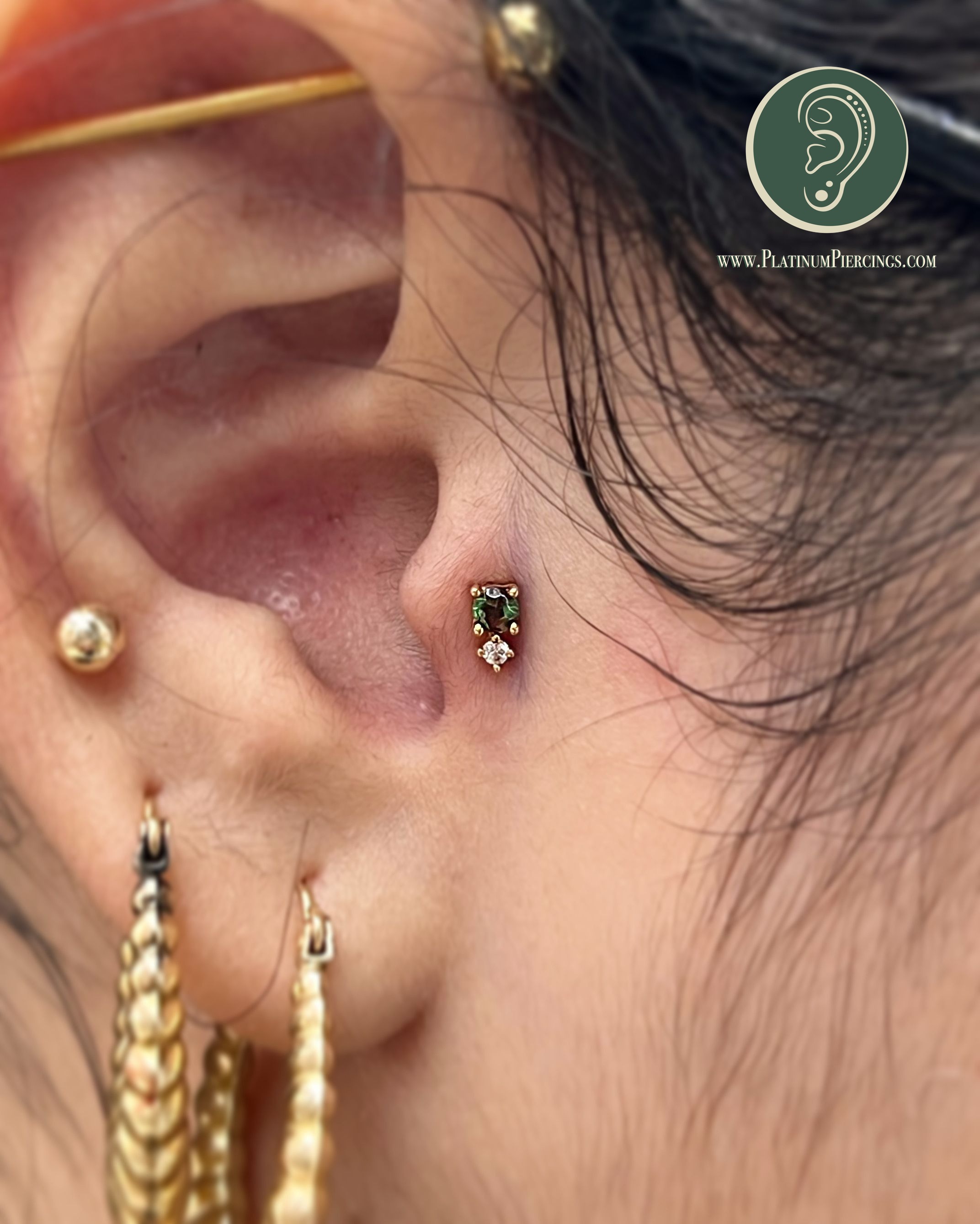 Tragus piercing with 14k Yellow Gold Threadless by JC at Platinum Body Piercings, San Antonio TX