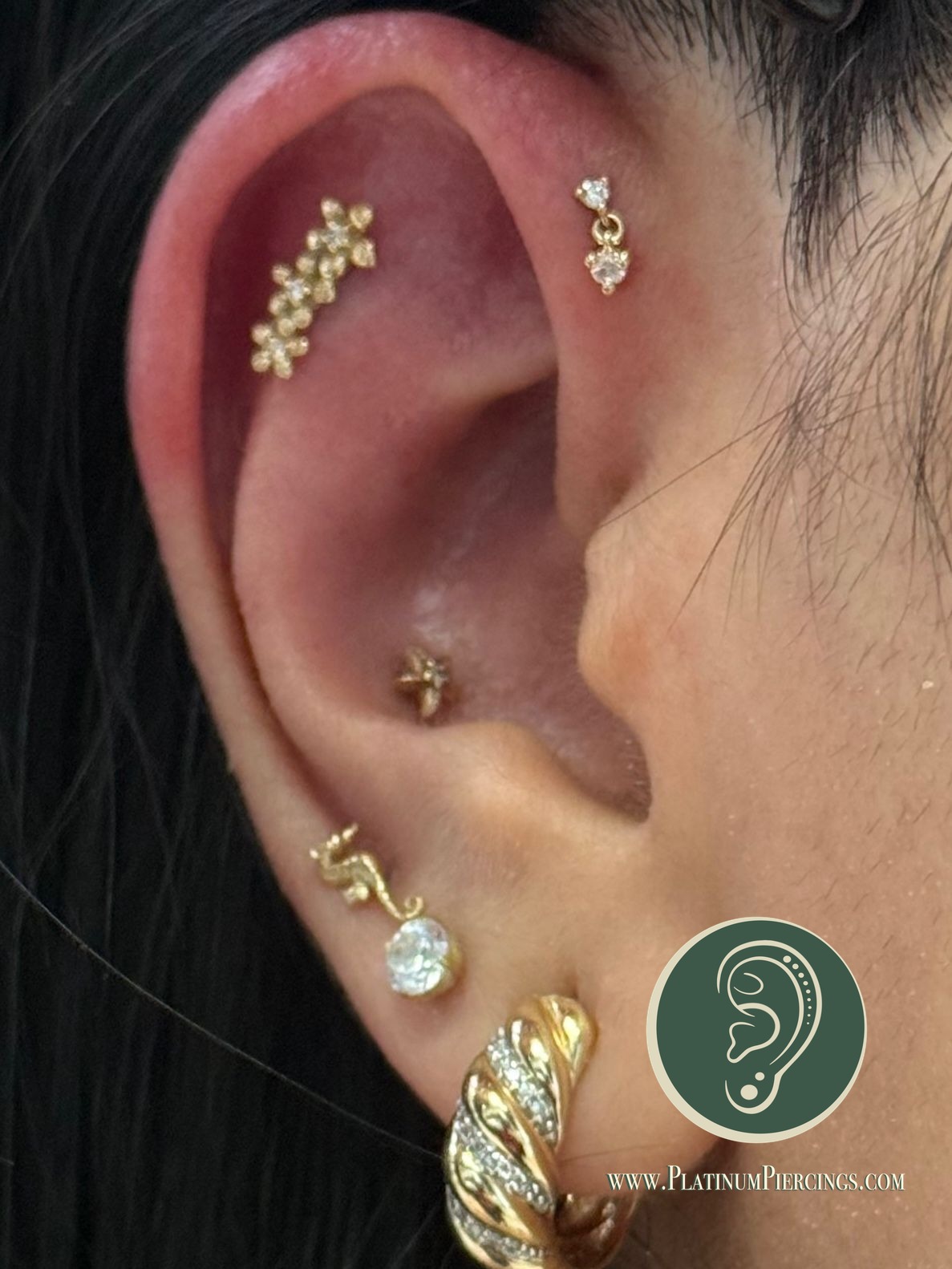 1st Forward Helix piercing with 14k Yellow Gold Threadless by Modern Mood by Crystal at Platinum Body Piercings, San Antonio TX