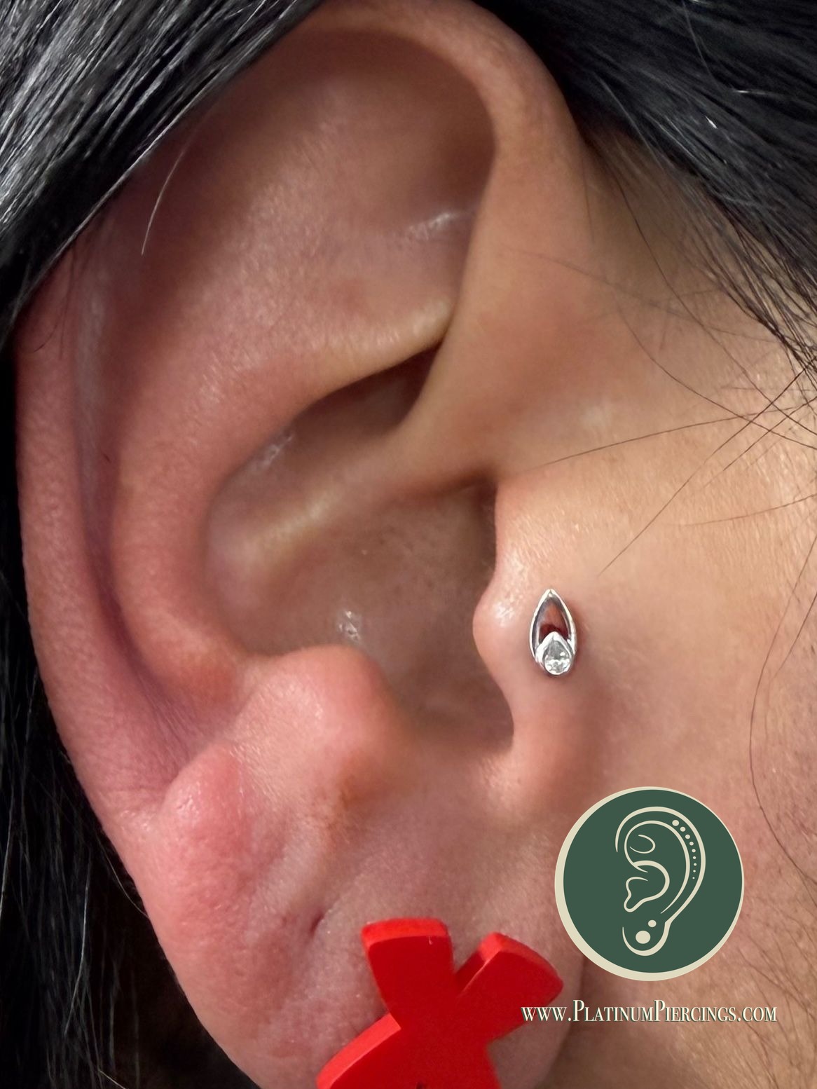 Tragus piercing with 14k White Gold Labret Stud/Flat Back by Tawapa by Crystal at Platinum Body Piercings, San Antonio TX