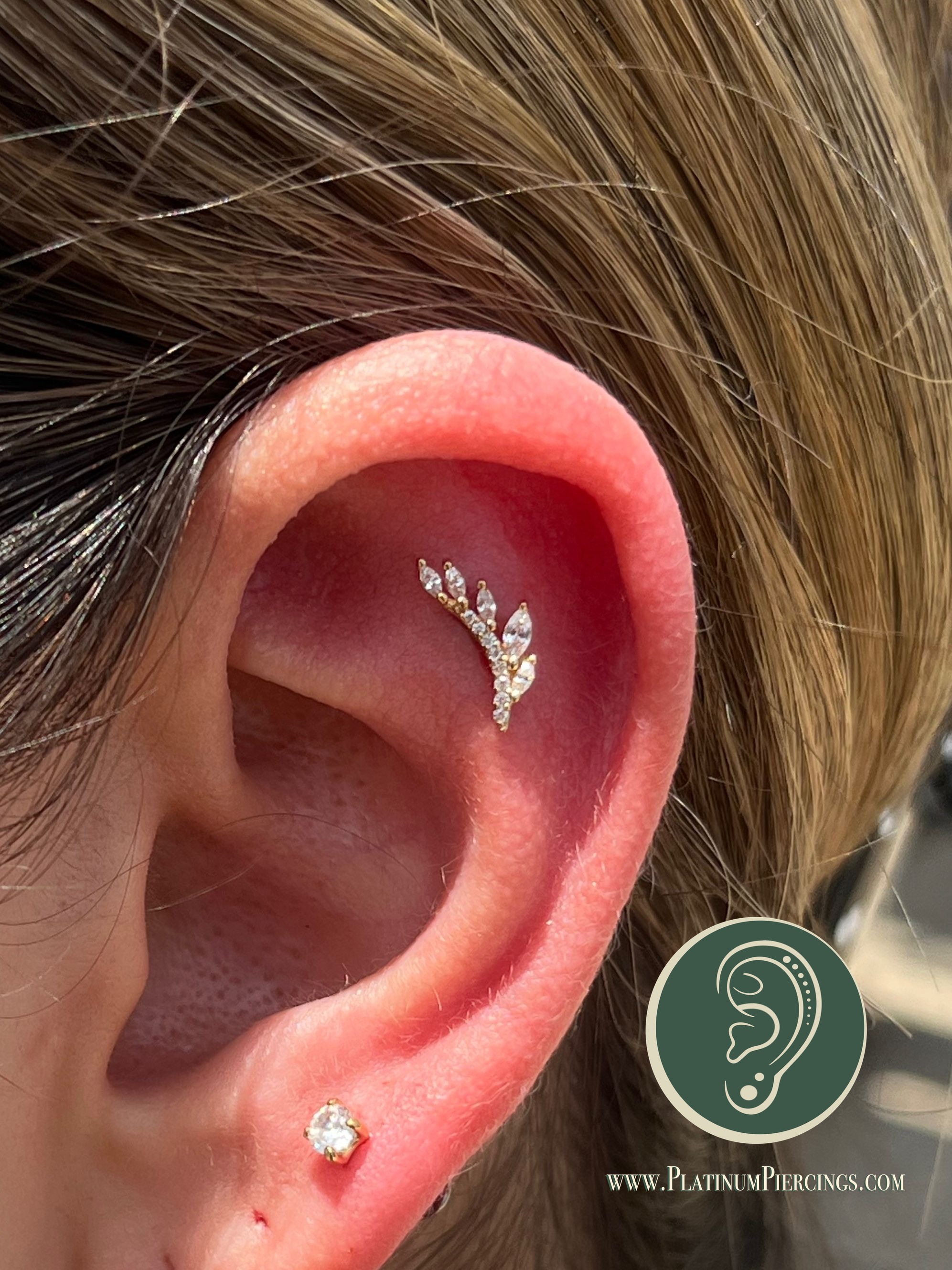Flat piercing with 14k Yellow Gold Threadless by Buddha Jewelry by Harley at Platinum Body Piercings, San Antonio TX
