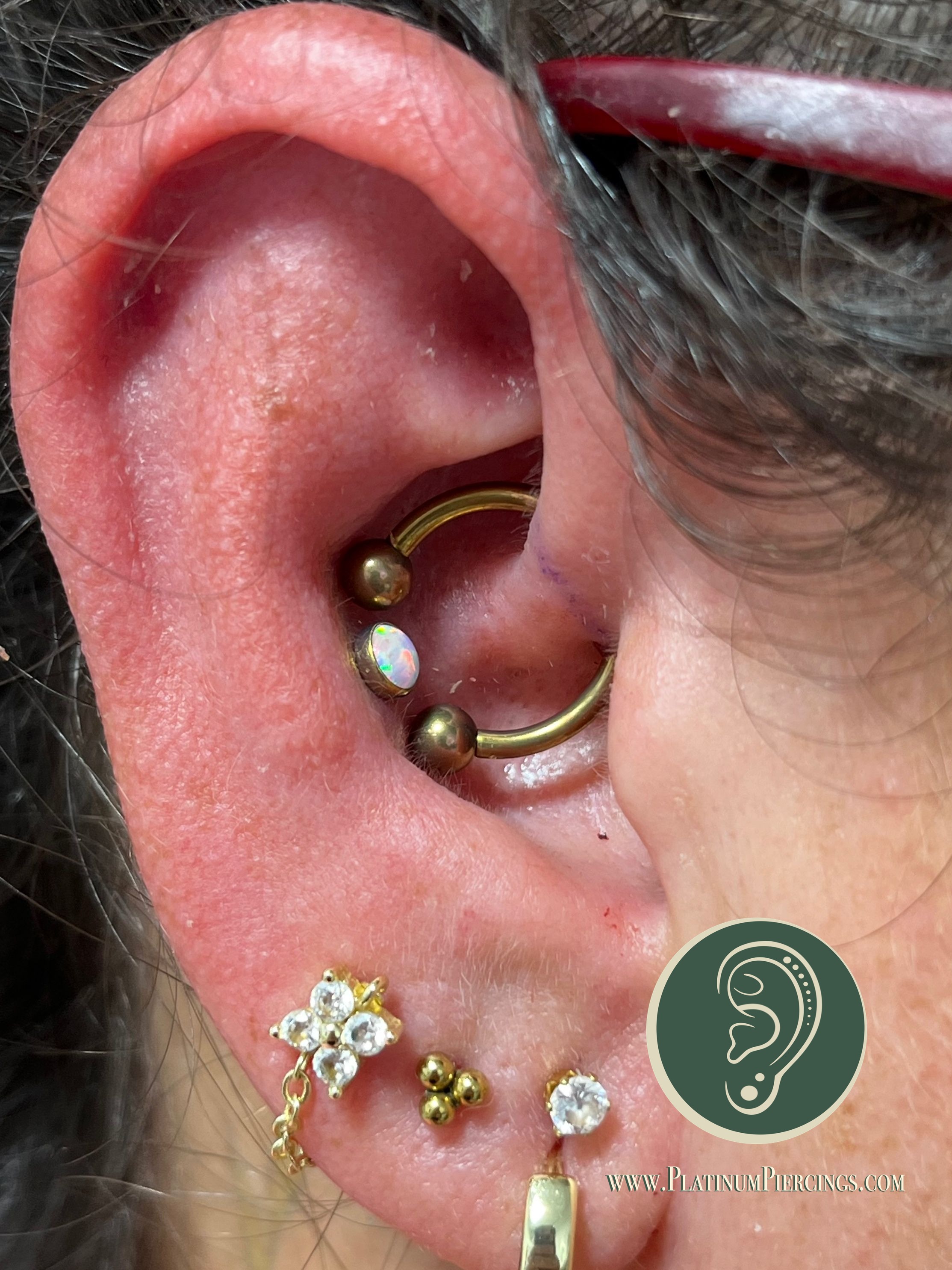 Daith piercing with Implant Grade Titanium Circular Barbell by Other by Harley at Platinum Body Piercings, San Antonio TX