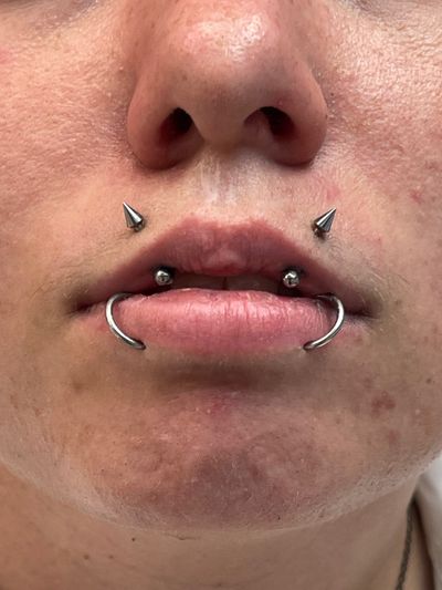 vertical labret snake bites piercing curved barbell implant grade titanium neometal