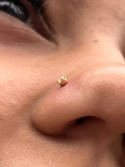 Nostril piercing with 18k Yellow Gold Labret Stud/Flat Back by Junipurr by Harley at Platinum Tattoos & Piercings, San Antonio TX