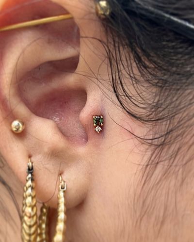 Tragus piercing with 14k Yellow Gold Threadless by JC at Platinum Tattoos & Piercings, San Antonio TX
