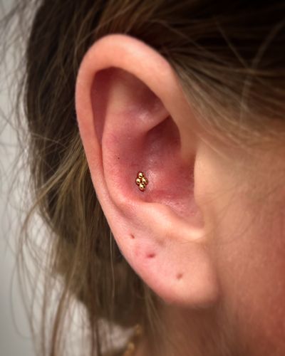 Conch piercing with 18k Yellow Gold Threadless by NeoMetal by JC at Platinum Tattoos & Piercings, San Antonio TX