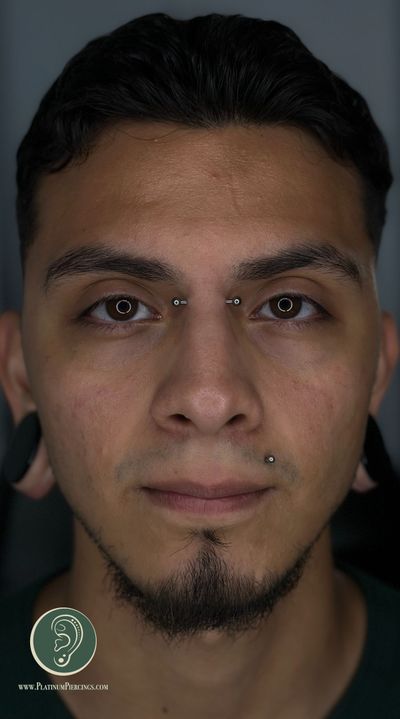 Monroe & Bridge Piercing | Bead | Implant Grade Titanium | Platinum Body Piercings, North Star Mall, San Antonio TX
