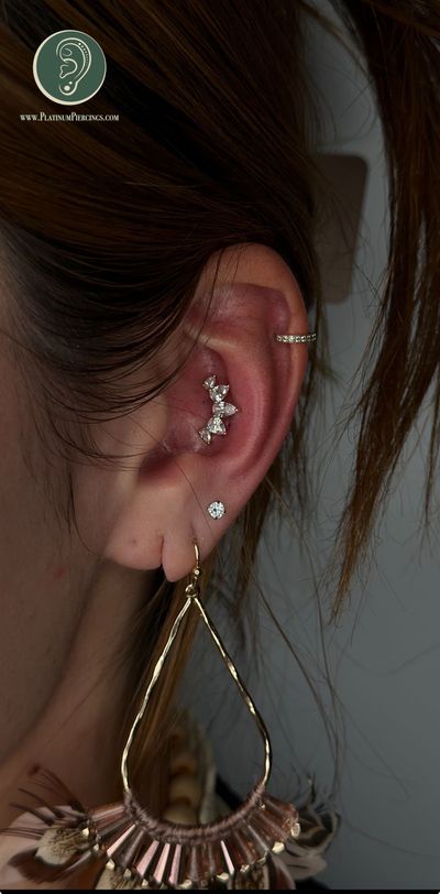 Conch Piercing | Threadless | 14k Yellow Gold | Platinum Body Piercings, North Star Mall, San Antonio TX