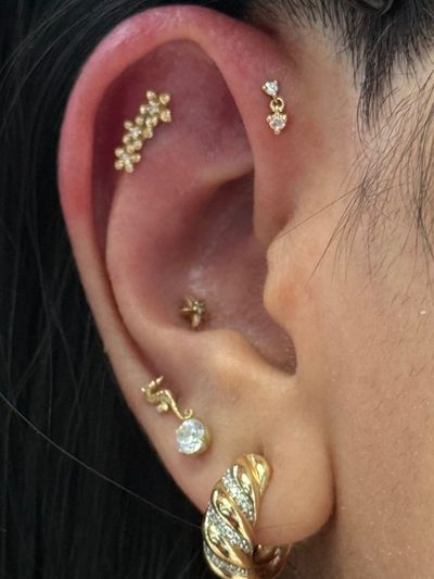 1st Forward Helix piercing with 14k Yellow Gold Threadless by Modern Mood by Crystal at Platinum Body Piercings, San Antonio TX