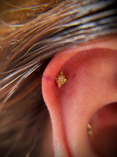 Body piercing with 18k Yellow Gold Threadless by Anatometal by Jaycee at Platinum Body Piercings, San Antonio TX