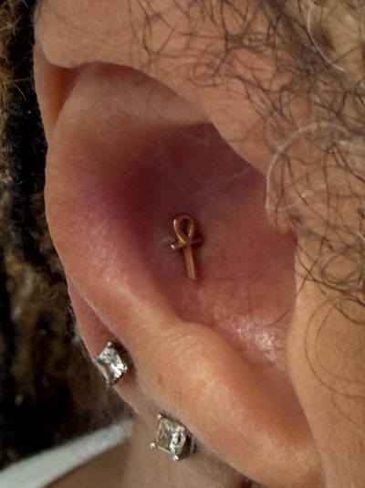Conch piercing with 14k Yellow Gold Labret Stud/Flat Back by Tawapa by Crystal at Platinum Body Piercings, San Antonio TX