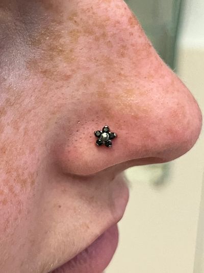 Nostril piercing with Implant Grade Titanium Threadless by NeoMetal by Harley at Platinum Body Piercings, San Antonio TX