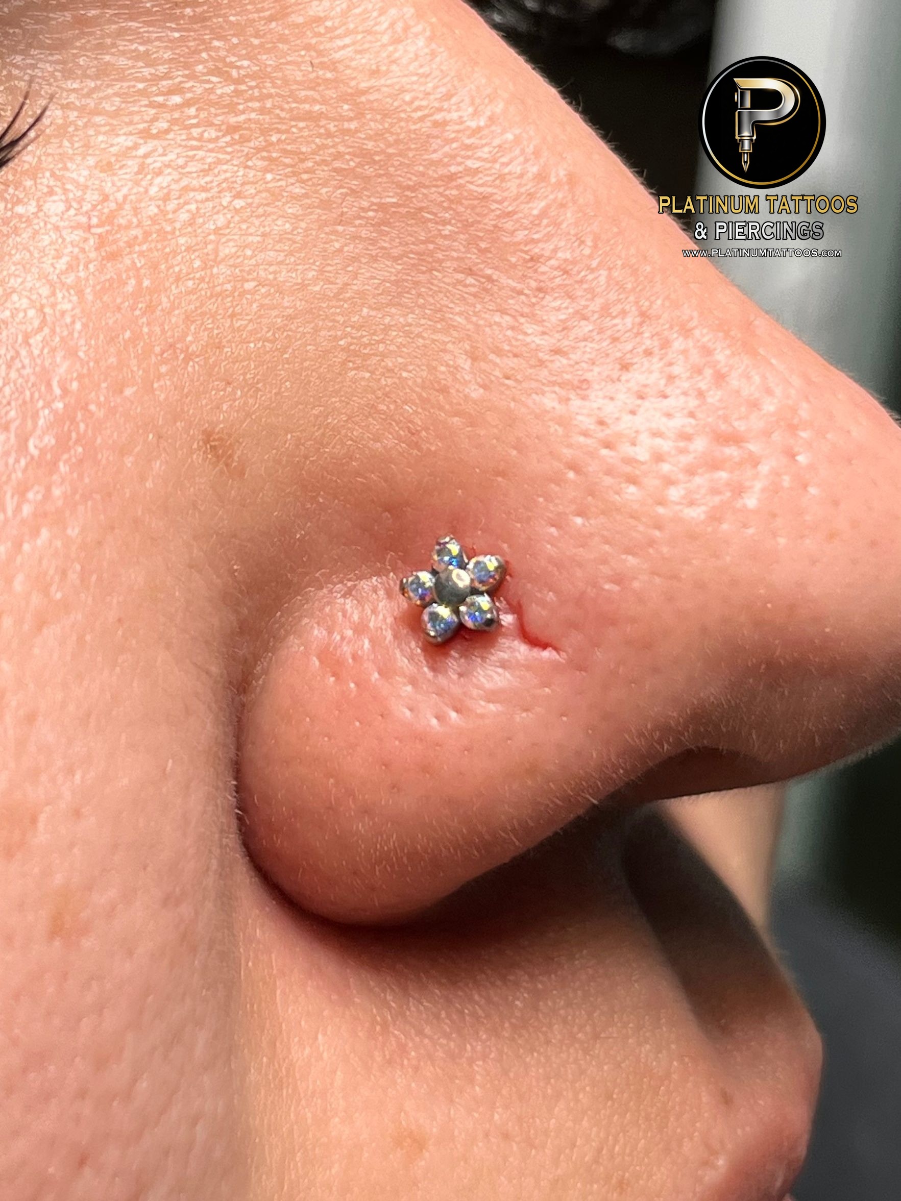 Nostril piercing with Labret Stud/Flat Back by NeoMetal by Harley at Platinum Tattoos & Piercings, San Antonio TX