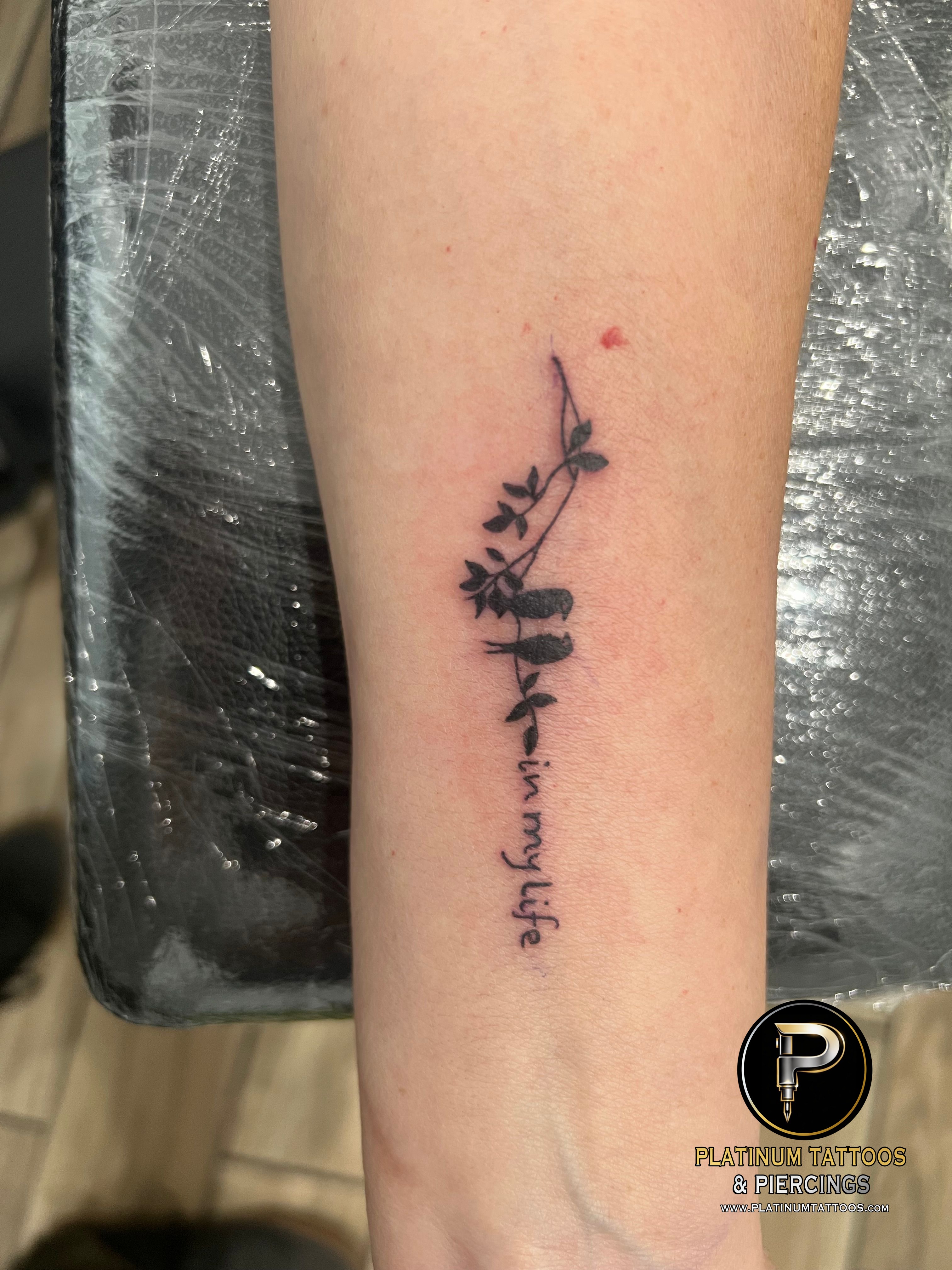 Linework tattoo on the forearm by Jesus at Platinum Tattoos & Piercings, San Antonio TX
