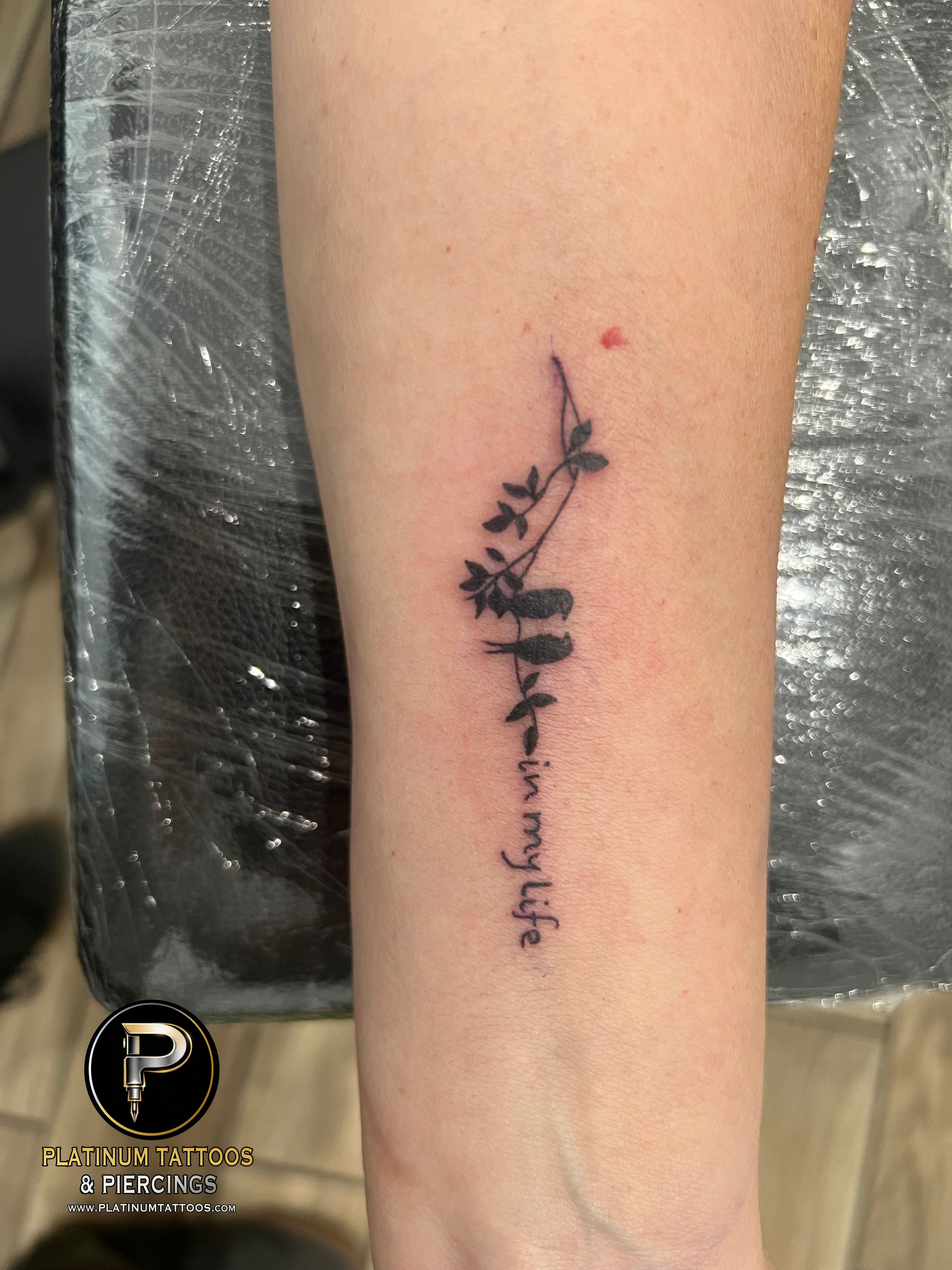 Linework tattoo on the forearm by Jesus at Platinum Tattoos & Piercings, San Antonio TX