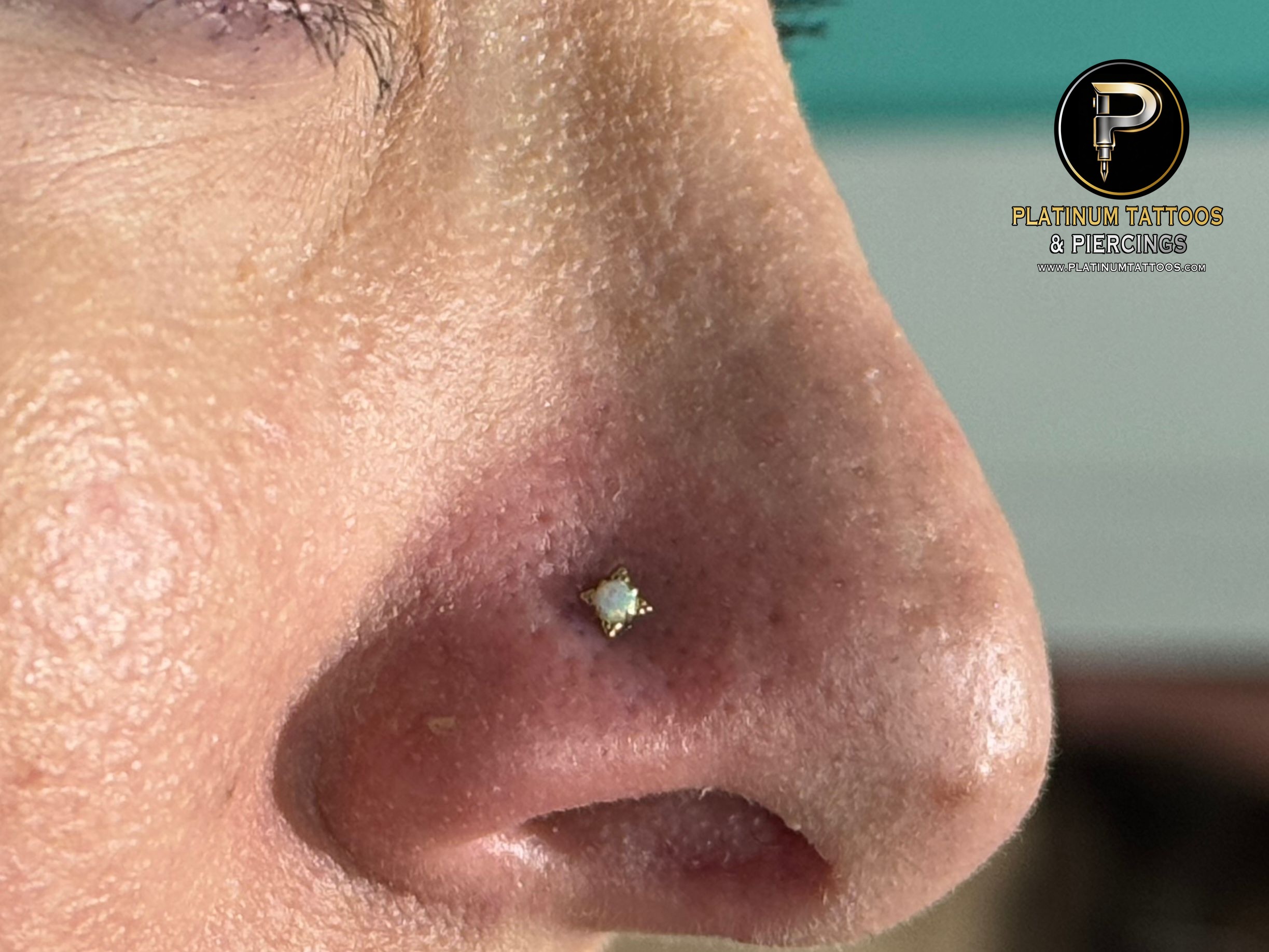 Piercing by Mingo at Platinum Tattoos & Piercings, San Antonio TX