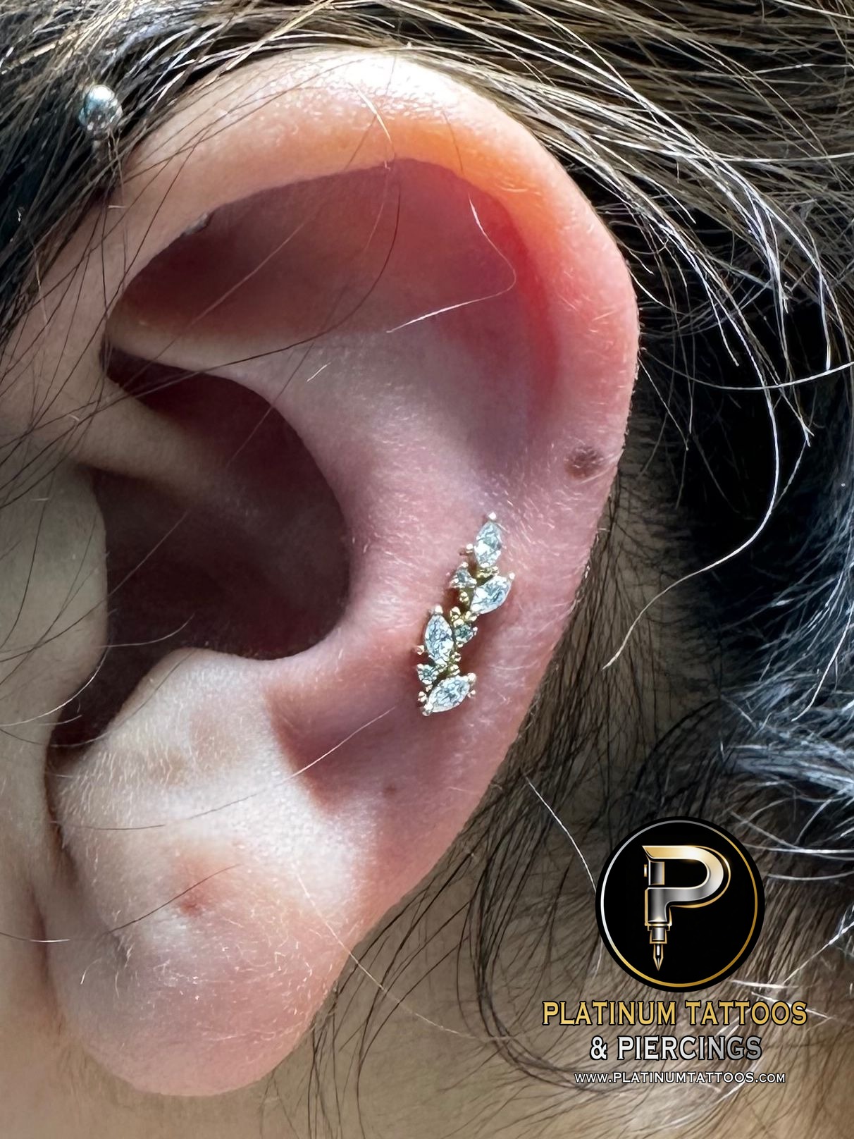 Piercing by Mingo at Platinum Tattoos & Piercings, San Antonio TX