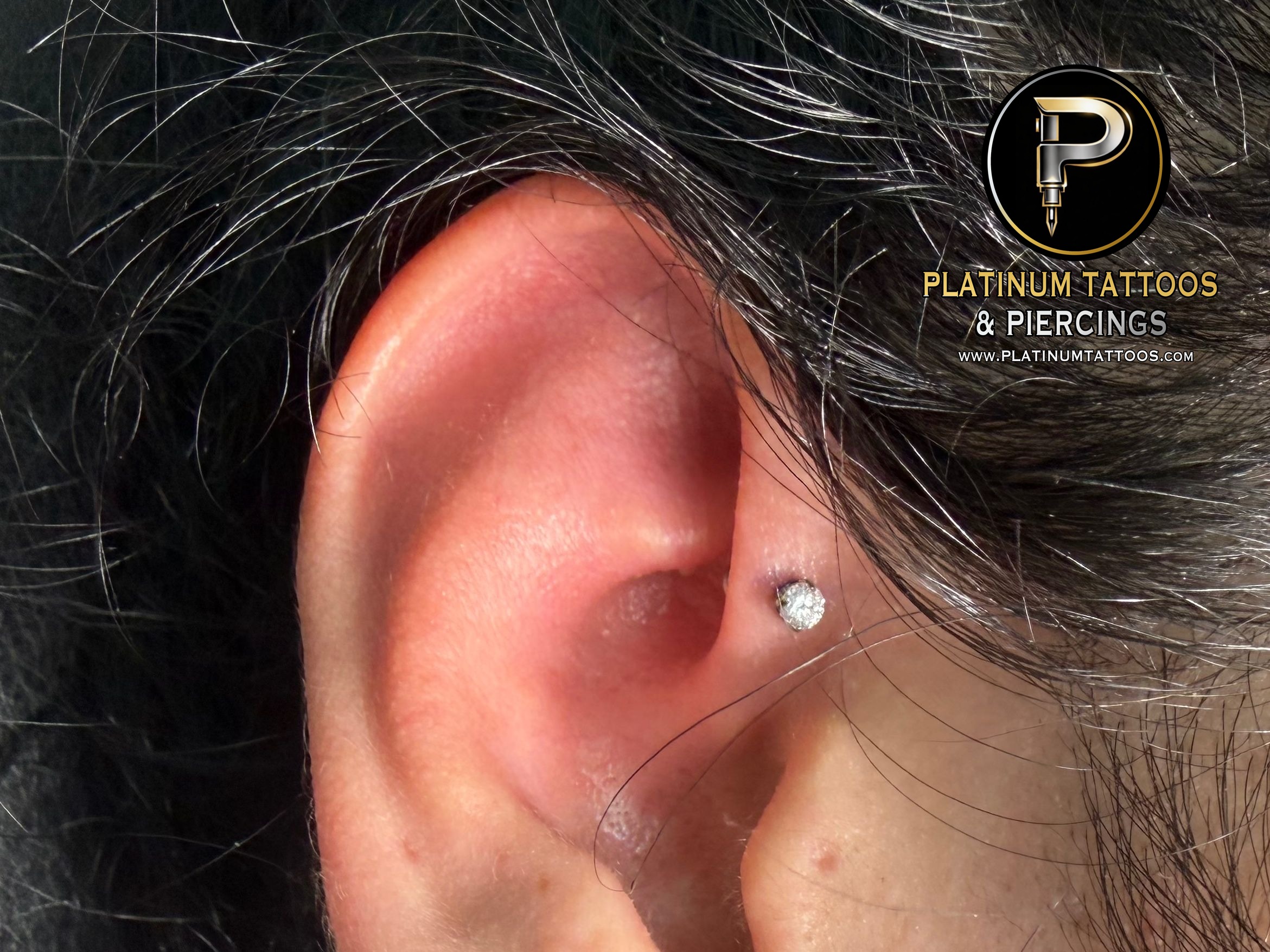 Piercing by Mingo at Platinum Tattoos & Piercings, San Antonio TX