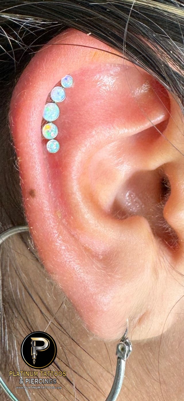 Piercing by Mingo at Platinum Tattoos & Piercings, San Antonio TX