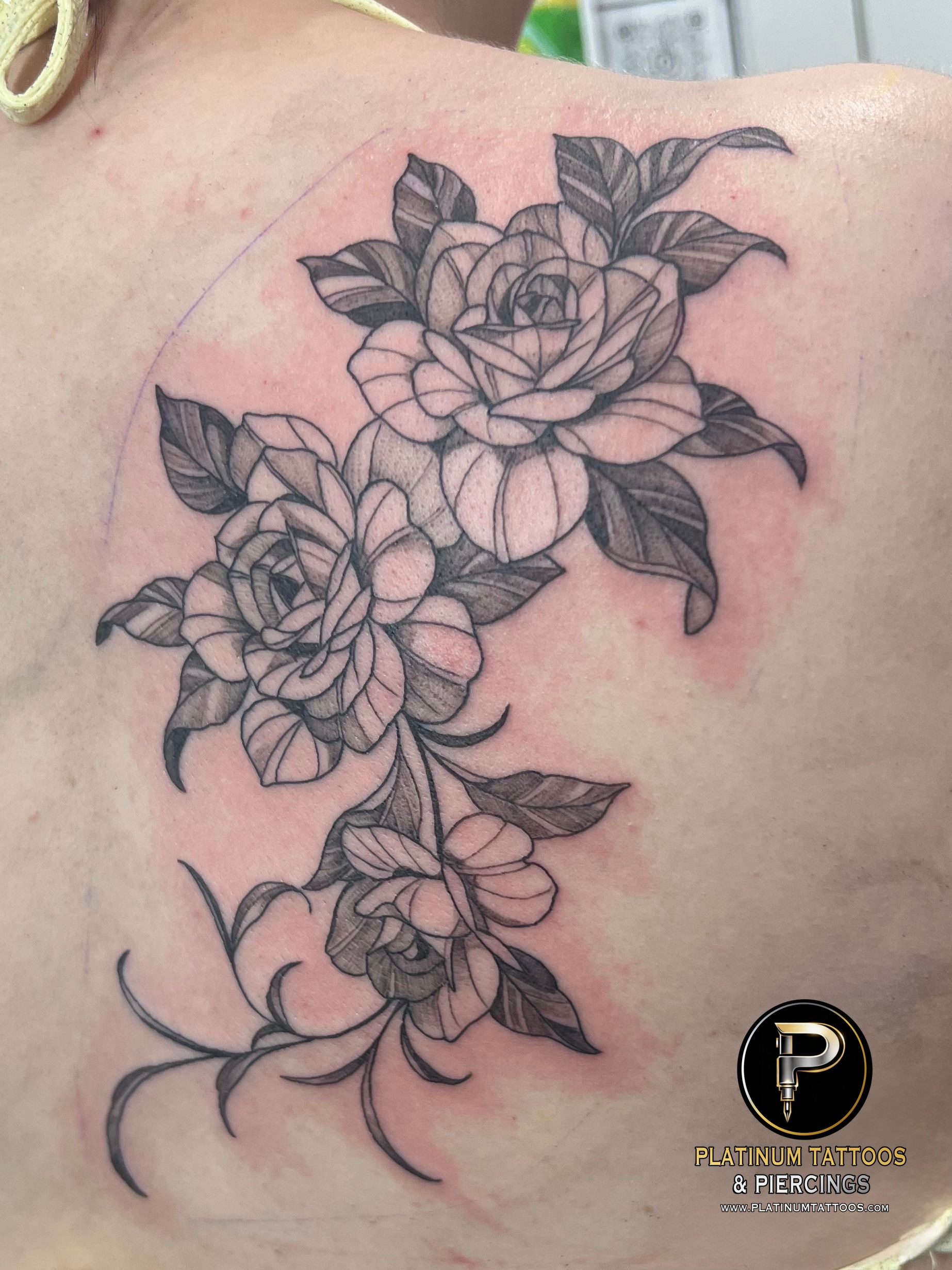 Dotwork tattoo on the back by Jesus at Platinum Tattoos & Piercings, San Antonio TX