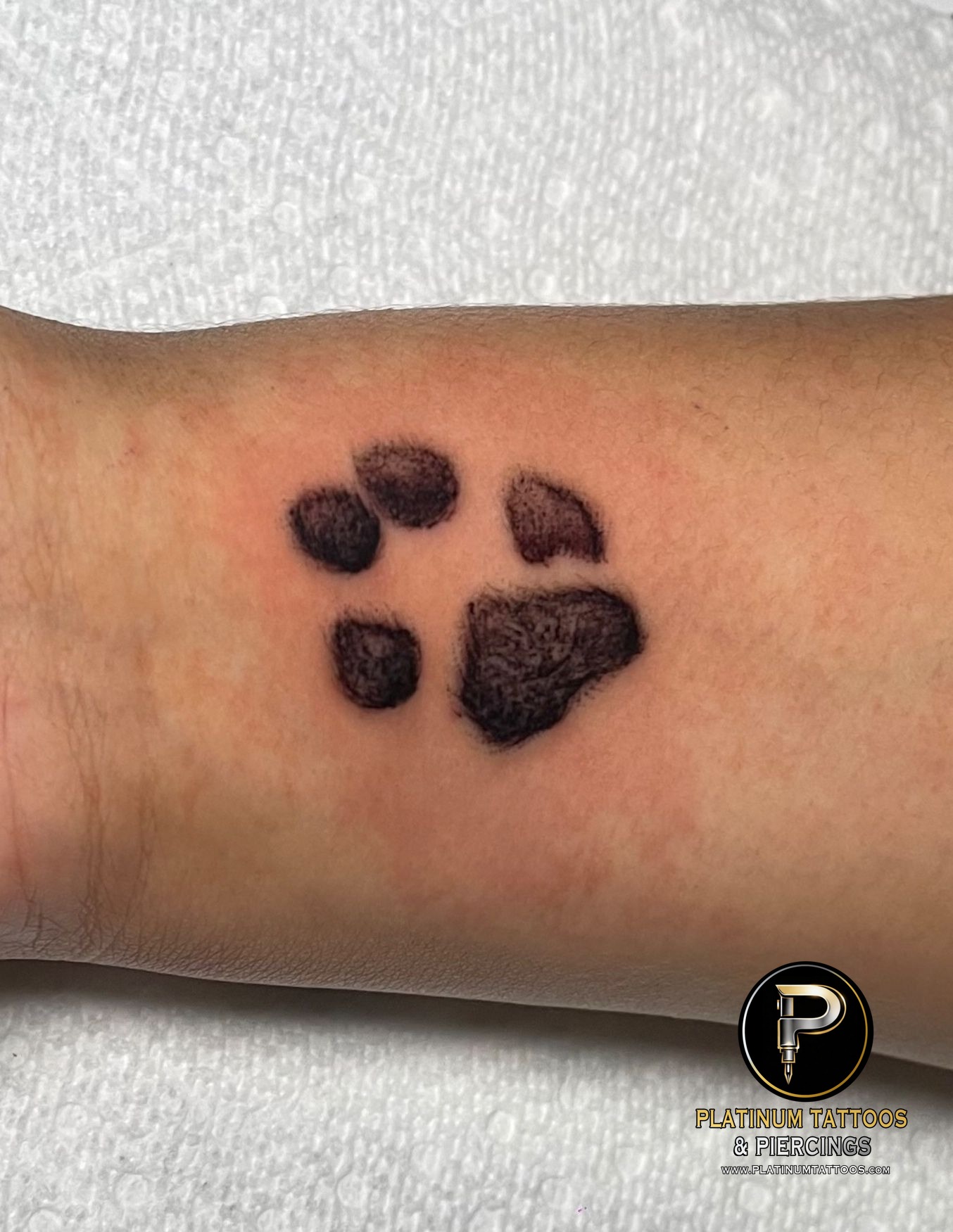 Tattoo on the forearm by Skar at Platinum Tattoos & Piercings, San Antonio TX