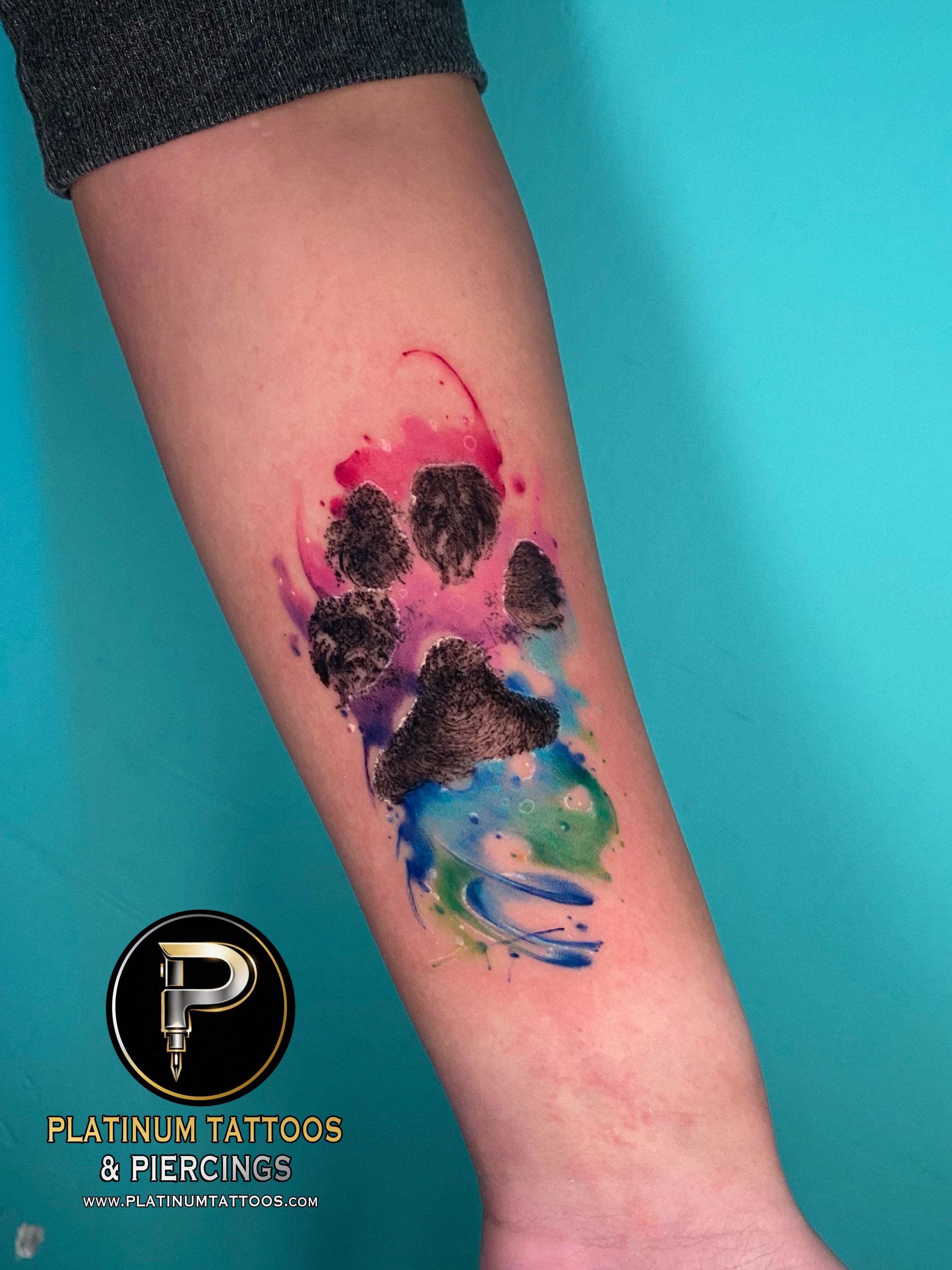 Watercolor Multi-Color Dog, Dog paw tattoo on the Forearm by Remy at Platinum Tattoos & Piercings, San Antonio TX