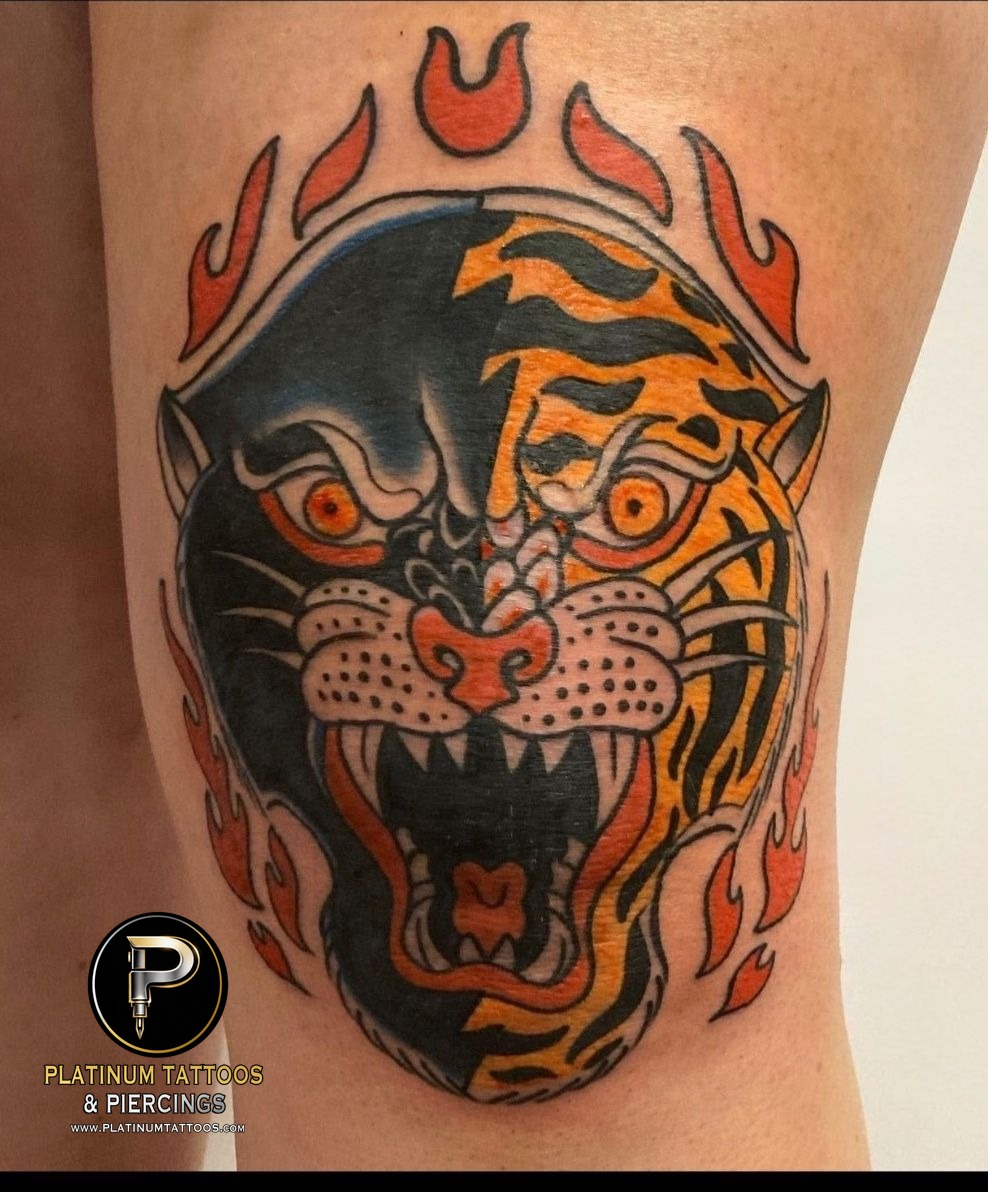 Traditional Multi-Color Tiger tattoo by Jr at Platinum Tattoos & Piercings, San Antonio TX