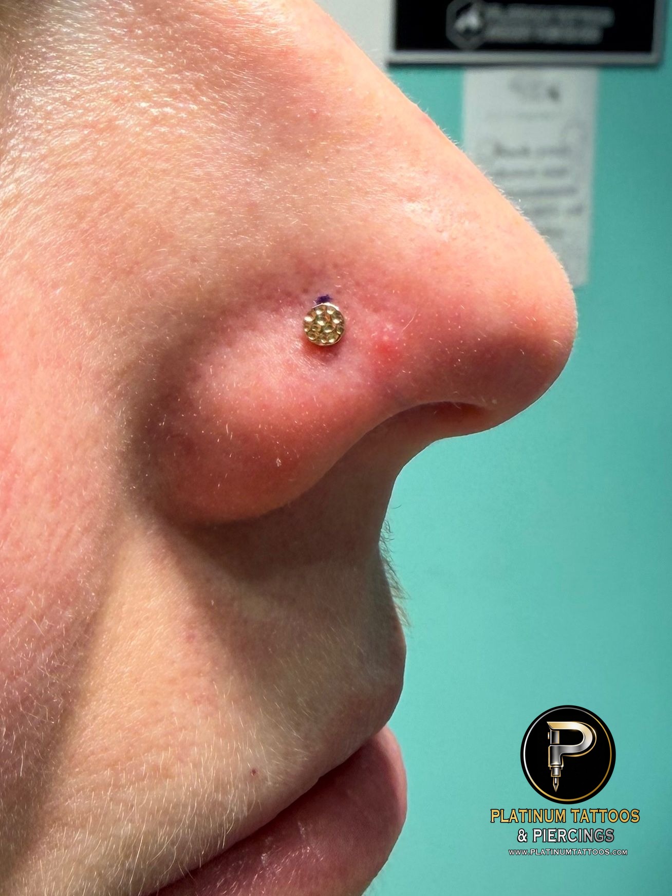 Nostril piercing with 14k Yellow Gold Disc by Junipurr by Mingo at Platinum Tattoos & Piercings, San Antonio TX