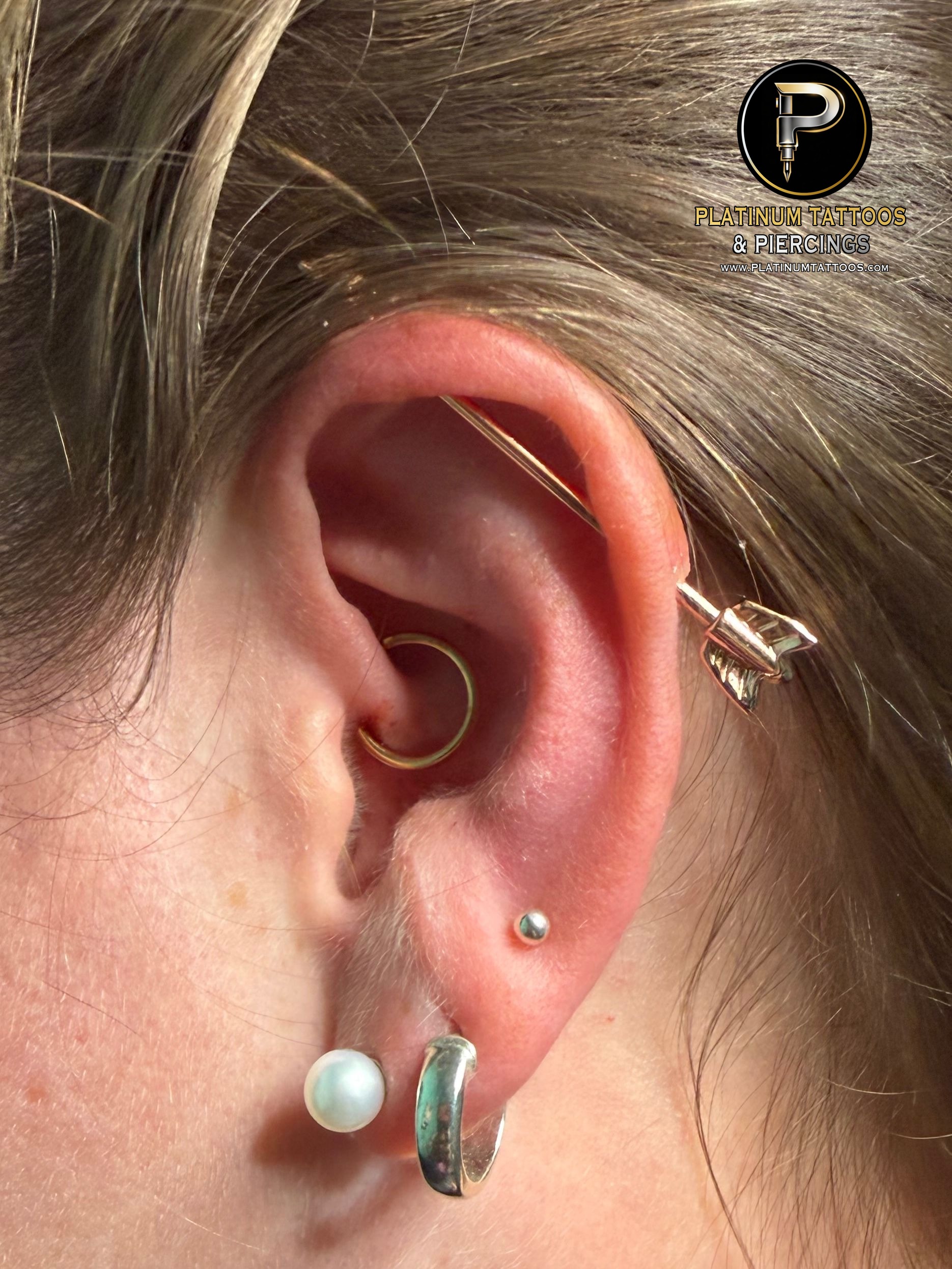 Daith piercing with 14k Yellow Gold Seamless Ring by Other by Mingo at Platinum Tattoos & Piercings, San Antonio TX