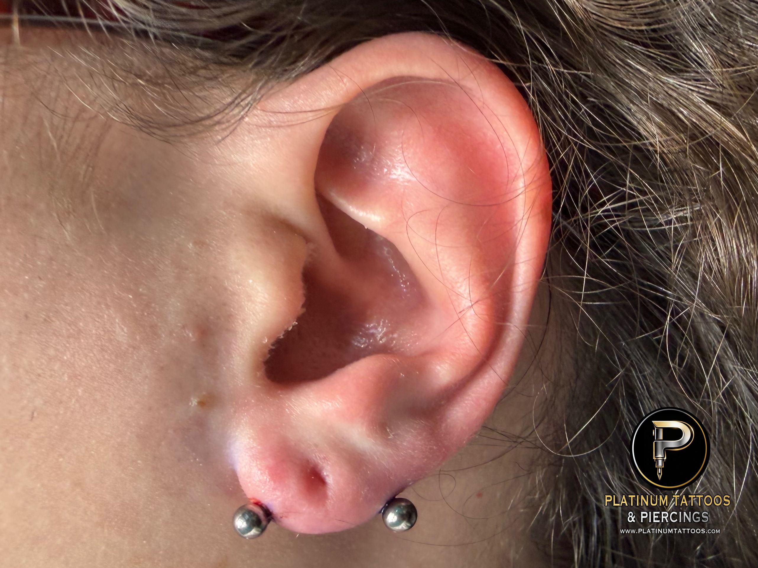body piercing with Implant Grade Titanium Curved Barbell by Other by Mingo at Platinum Tattoos & Piercings, San Antonio TX