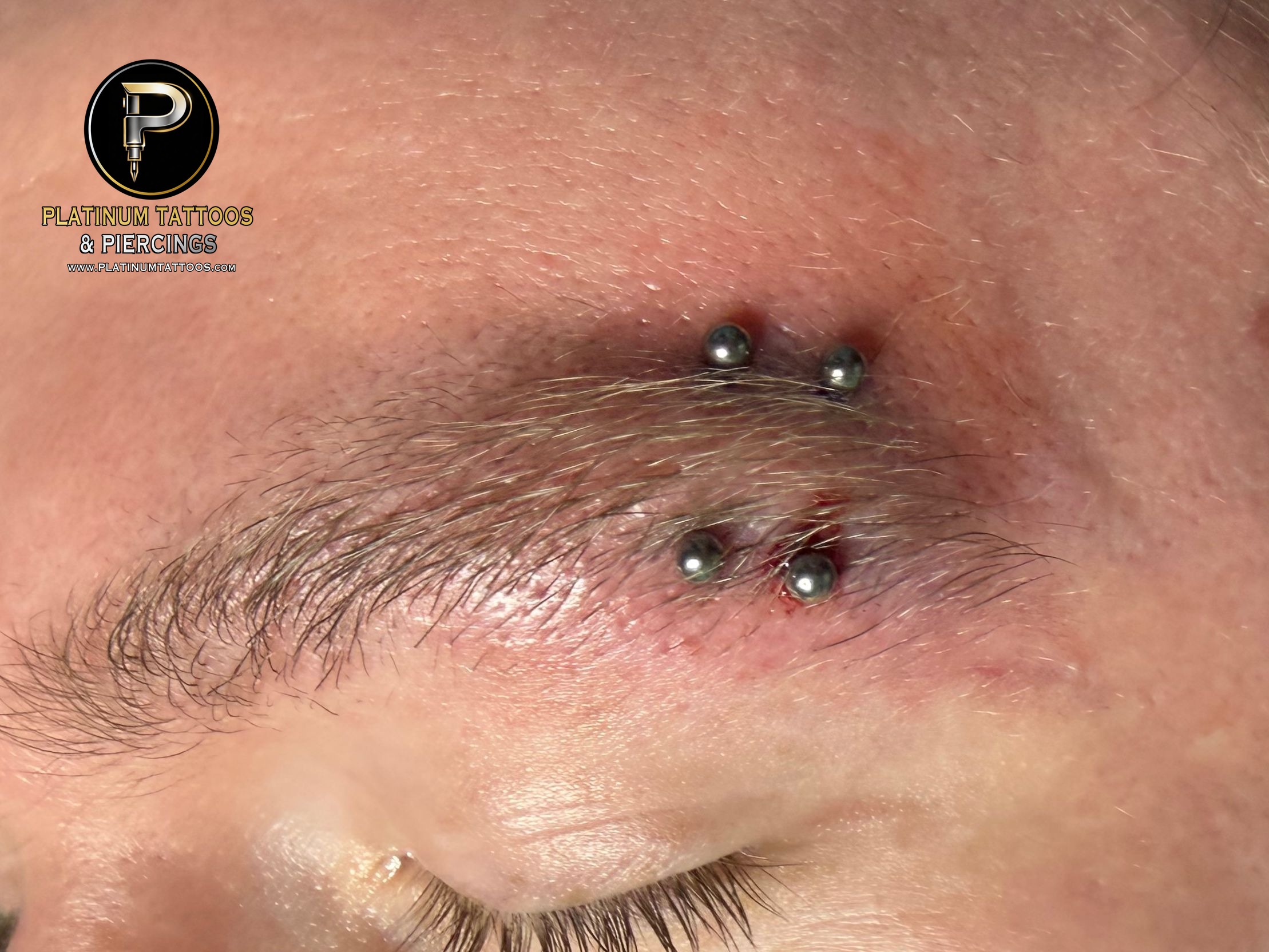 Eyebrow piercing with Implant Grade Titanium Curved Barbell by Other by Mingo at Platinum Tattoos & Piercings, San Antonio TX