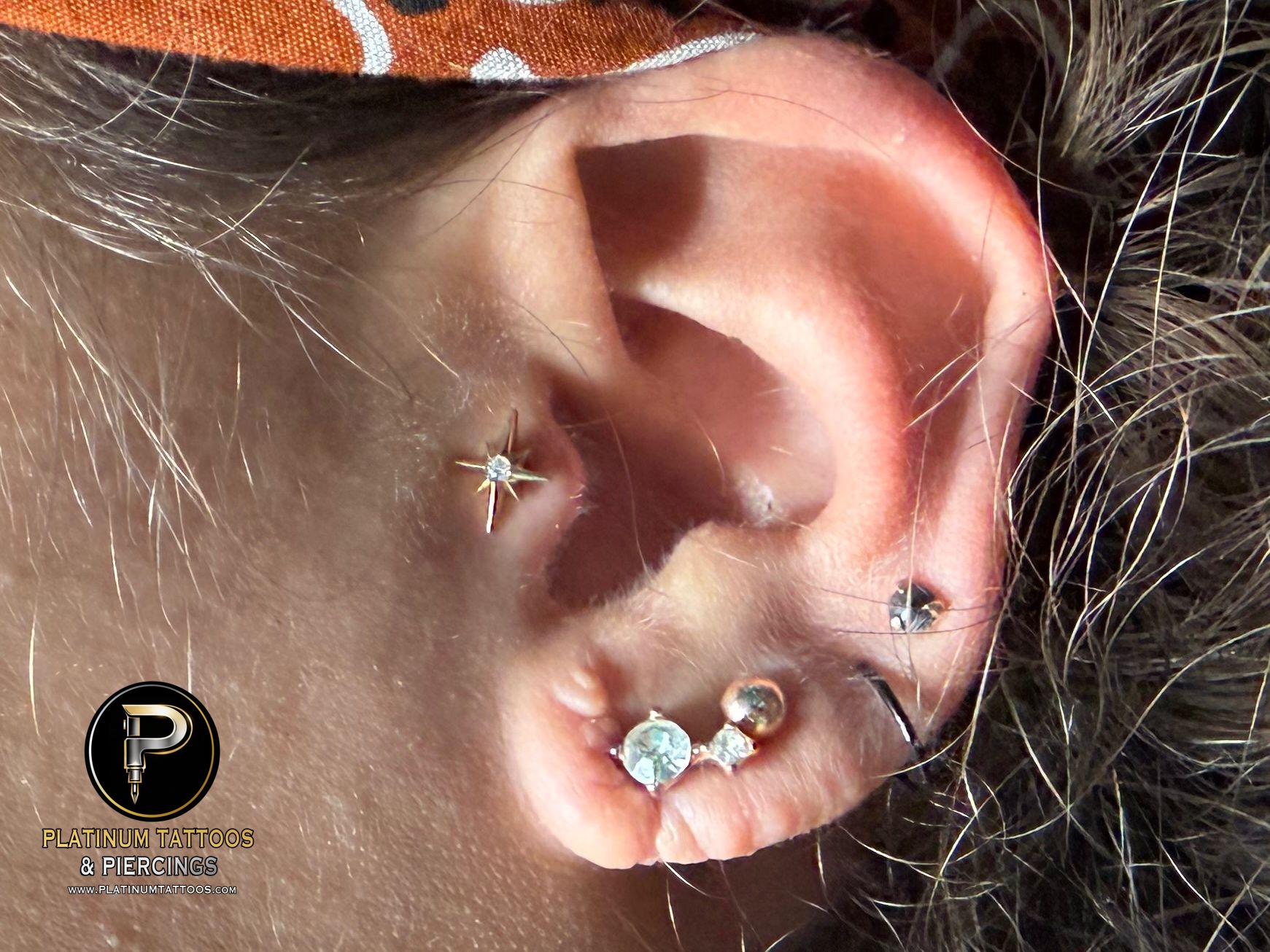 Tragus piercing with 14k Yellow Gold Threadless by Junipurr by Mingo at Platinum Tattoos & Piercings, San Antonio TX
