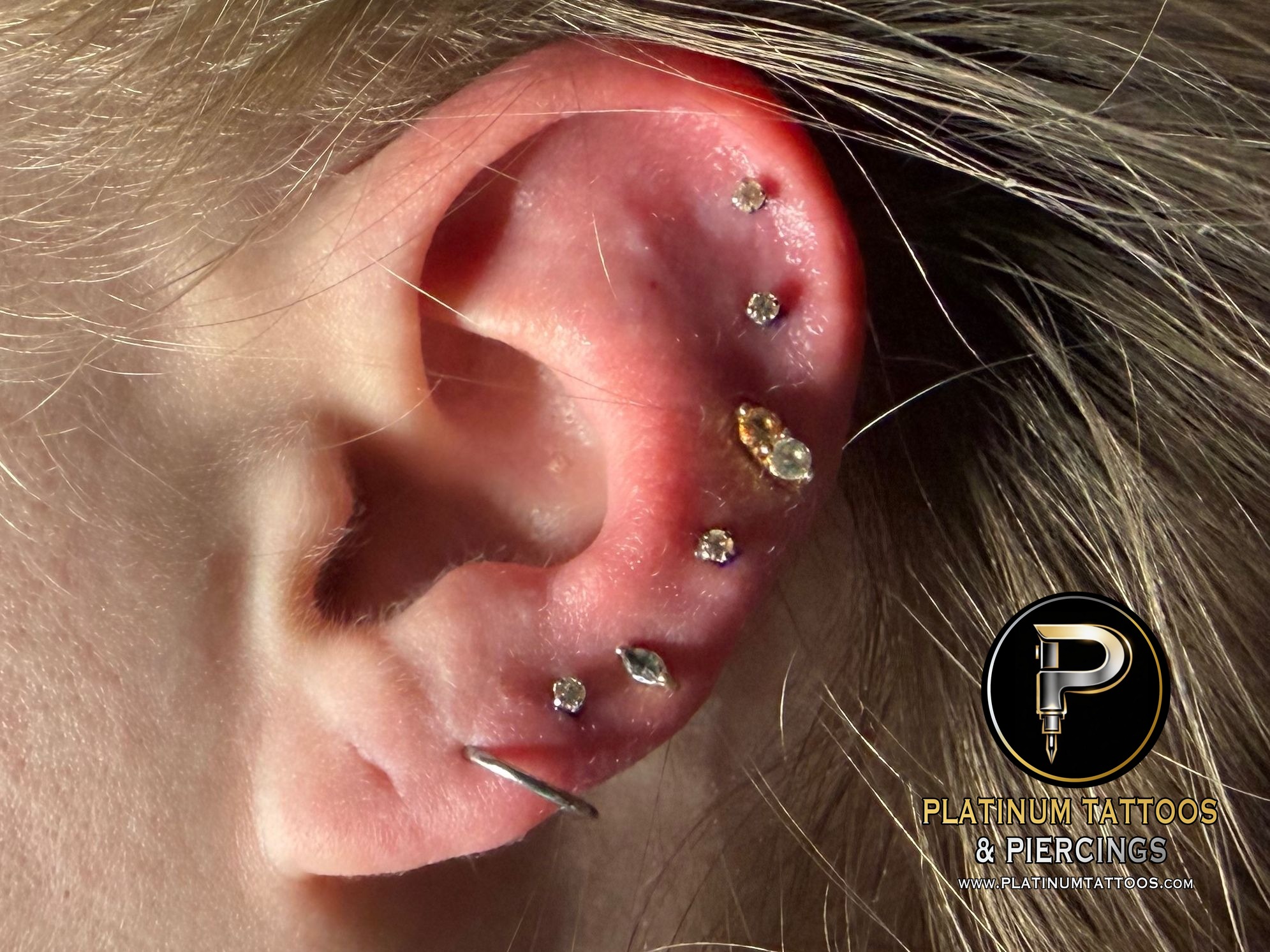 Curated Ear piercing with Implant Grade Titanium Threadless by NeoMetal by Mingo at Platinum Tattoos & Piercings, San Antonio TX