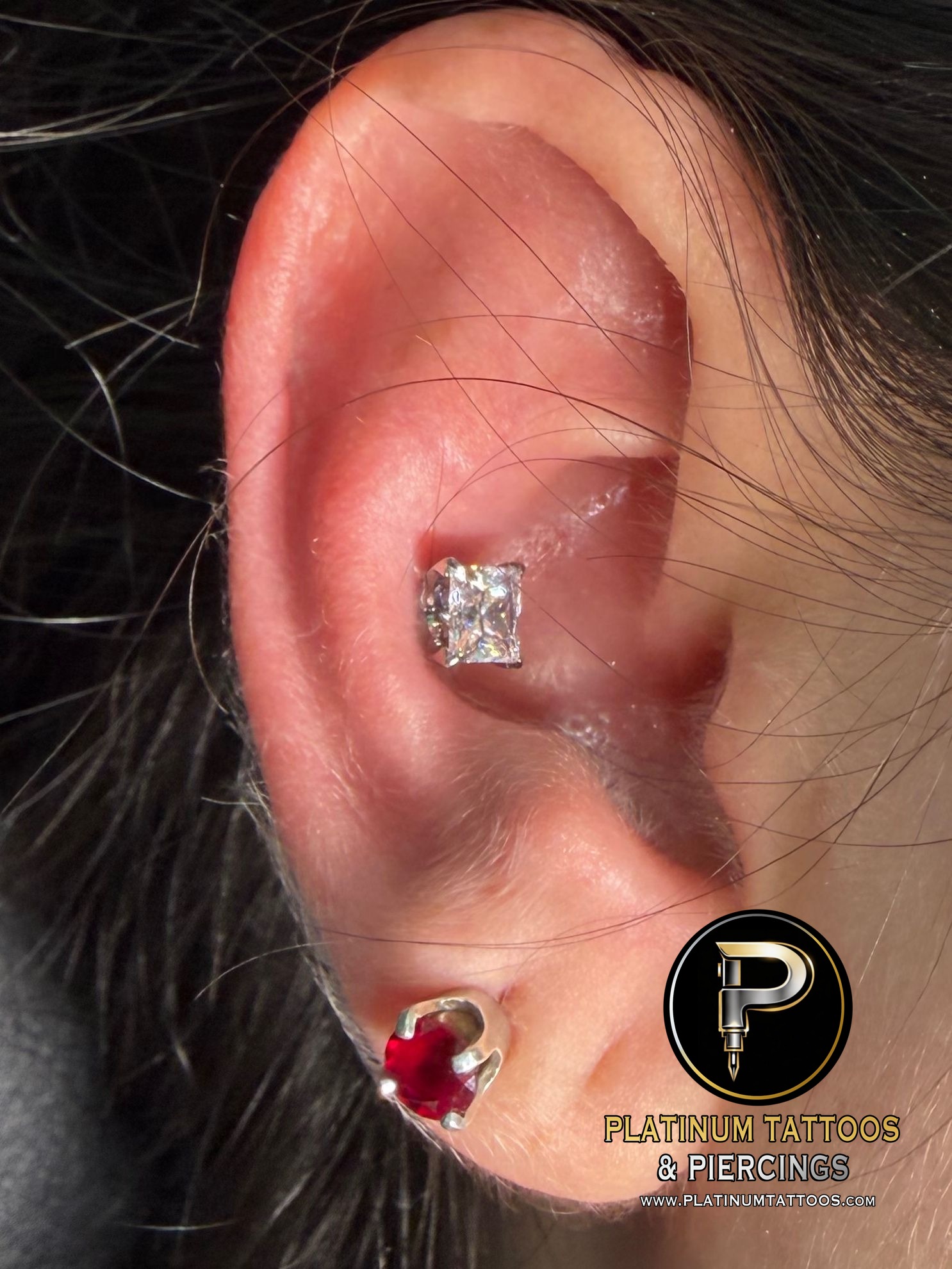 Conch piercing with Implant Grade Titanium Threadless by NeoMetal by Mingo at Platinum Tattoos & Piercings, San Antonio TX