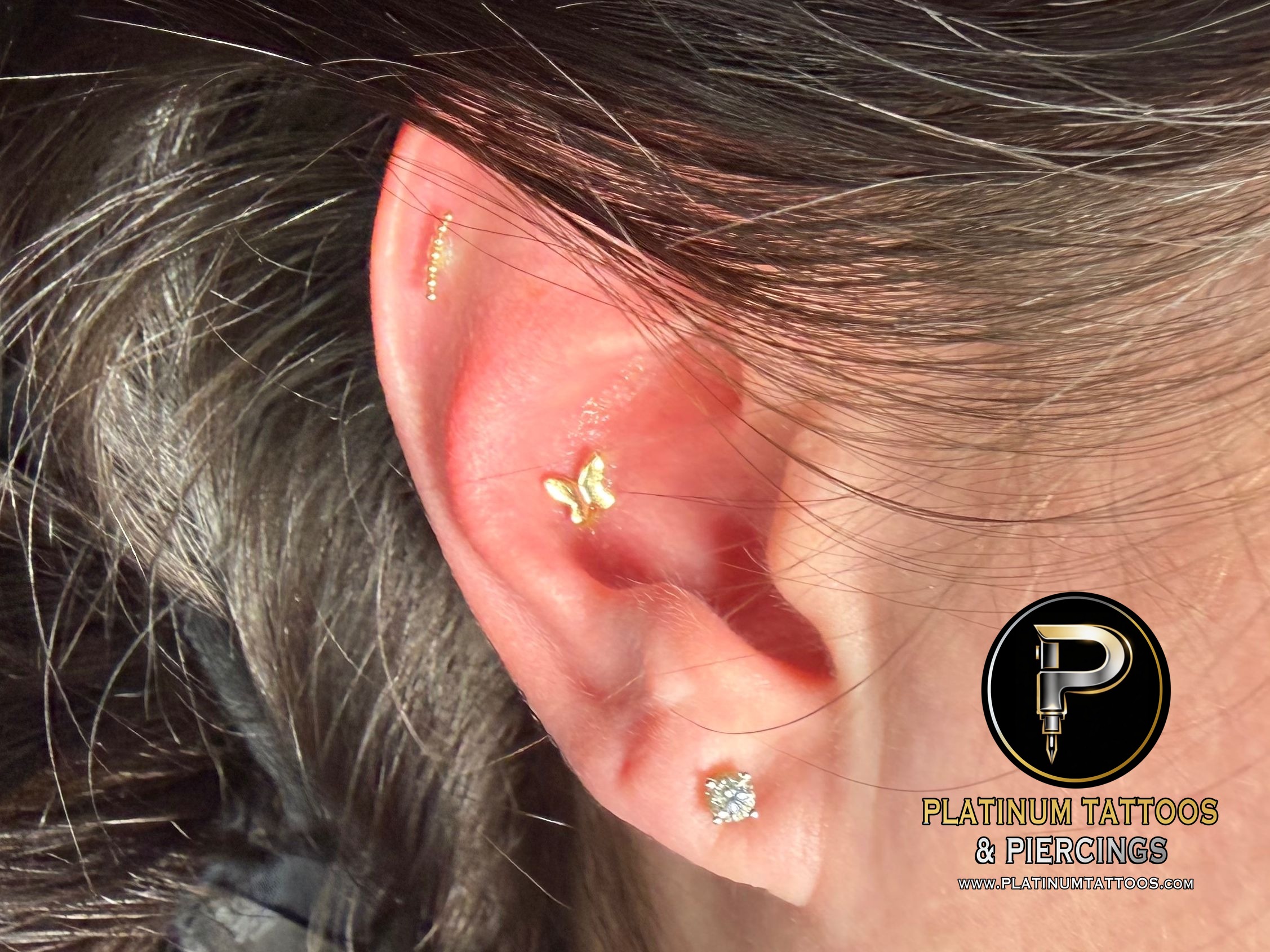 Conch piercing with 14k Yellow Gold Threadless by Mingo at Platinum Tattoos & Piercings, San Antonio TX