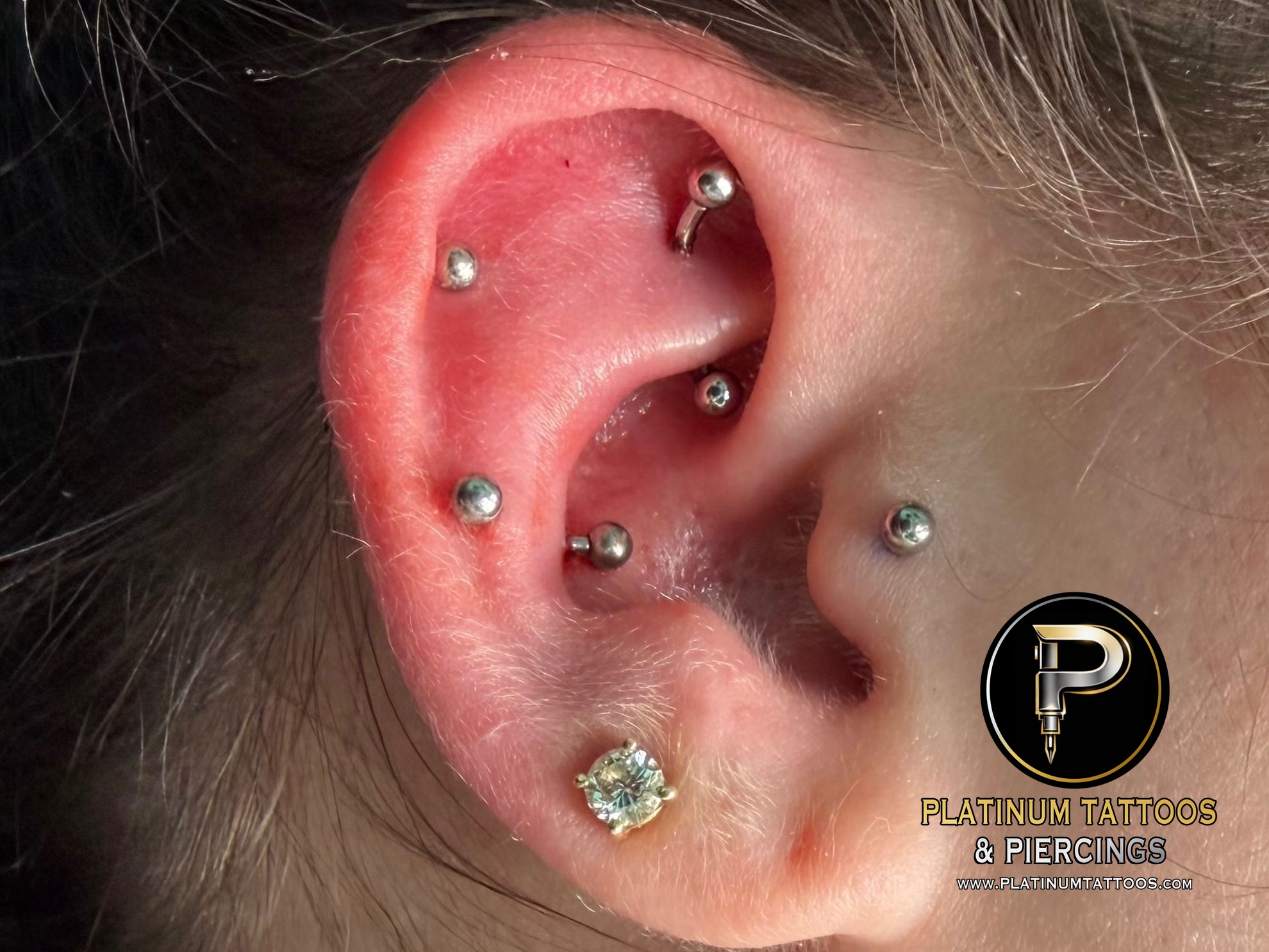 Curated ear piercing setup โ 1st Helix, Rook, Snug, Tragus with Implant Grade Titanium Labret Stud/Flat Back, Curved Barbell by NeoMetal, Other by Mingo at Platinum Tattoos & Piercings, San Antonio TX