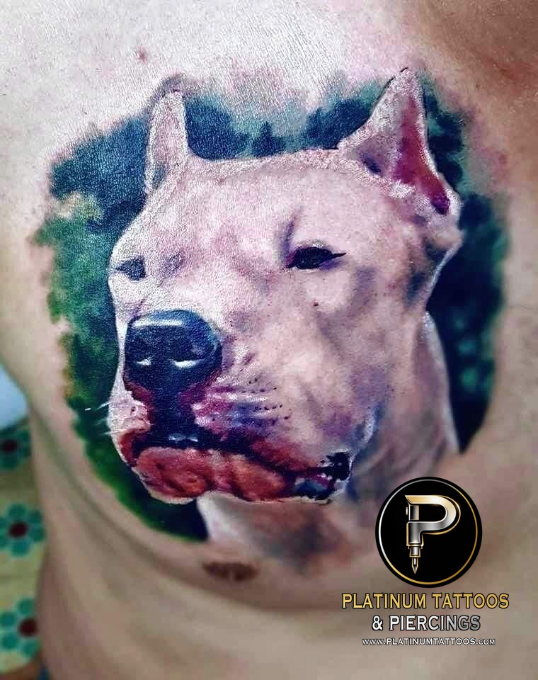 Color tattoo by Lee at Platinum Tattoos & Piercings, San Antonio TX