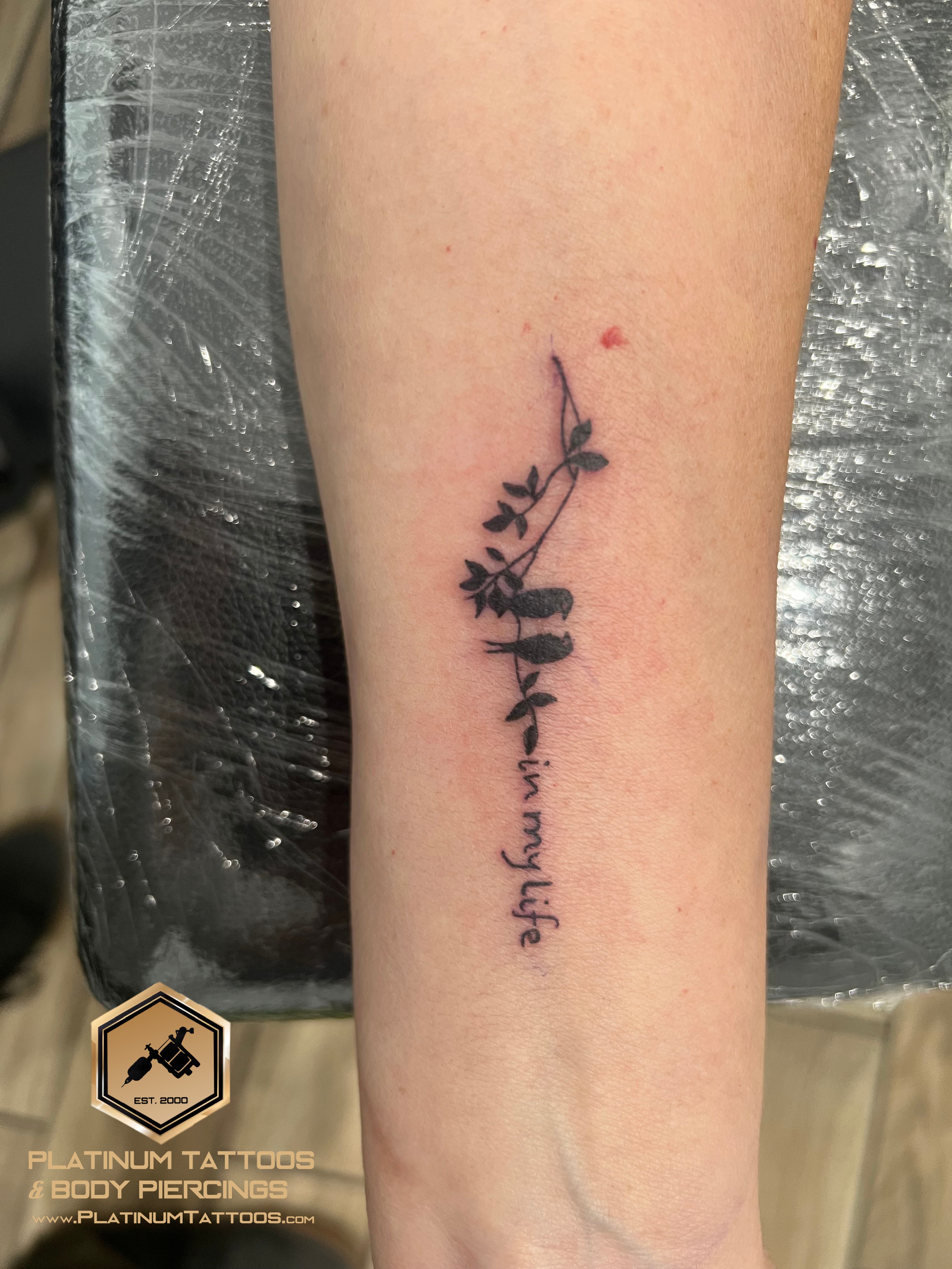 Linework tattoo on the forearm by Jesus at Platinum Tattoos & Piercings, San Antonio TX